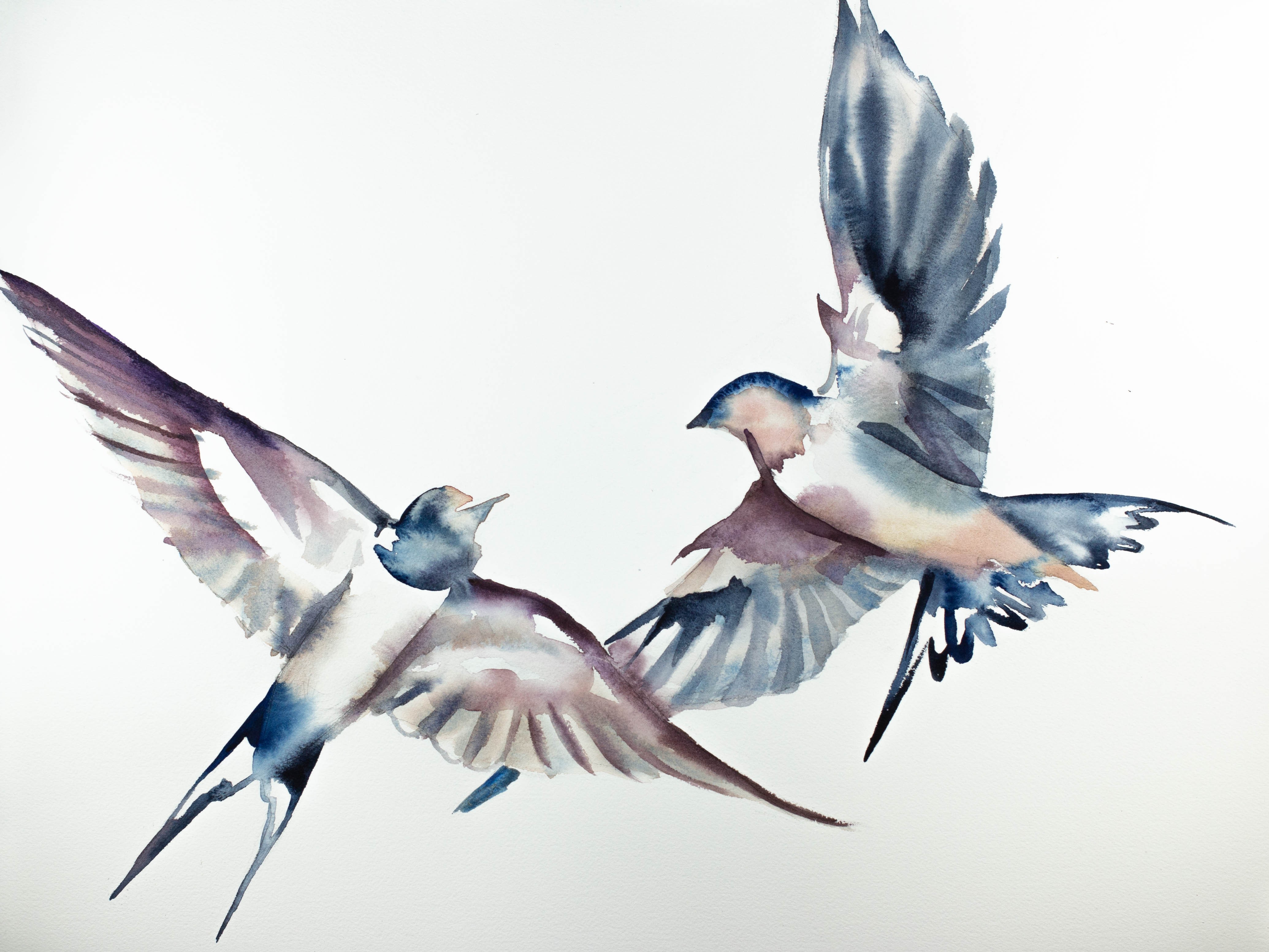 Elizabeth Becker, Swallows in Flight No. 19 Elizabeth Becker, Swallows in Flight No. 19
