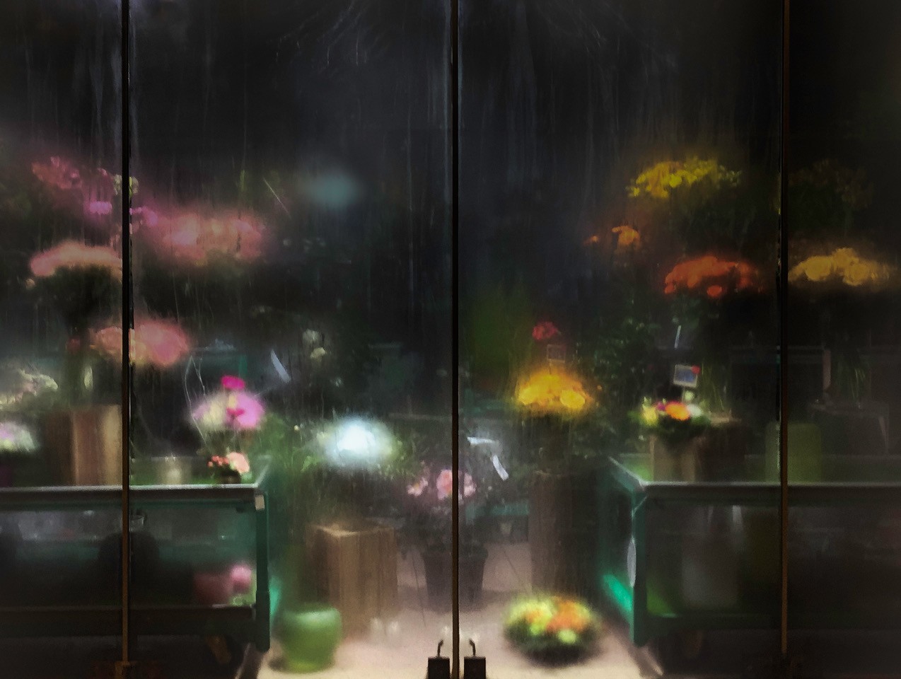 Julie Peiffer, Les fleurs respirent la nuit Julie Peiffer, Les fleurs respirent la nuit