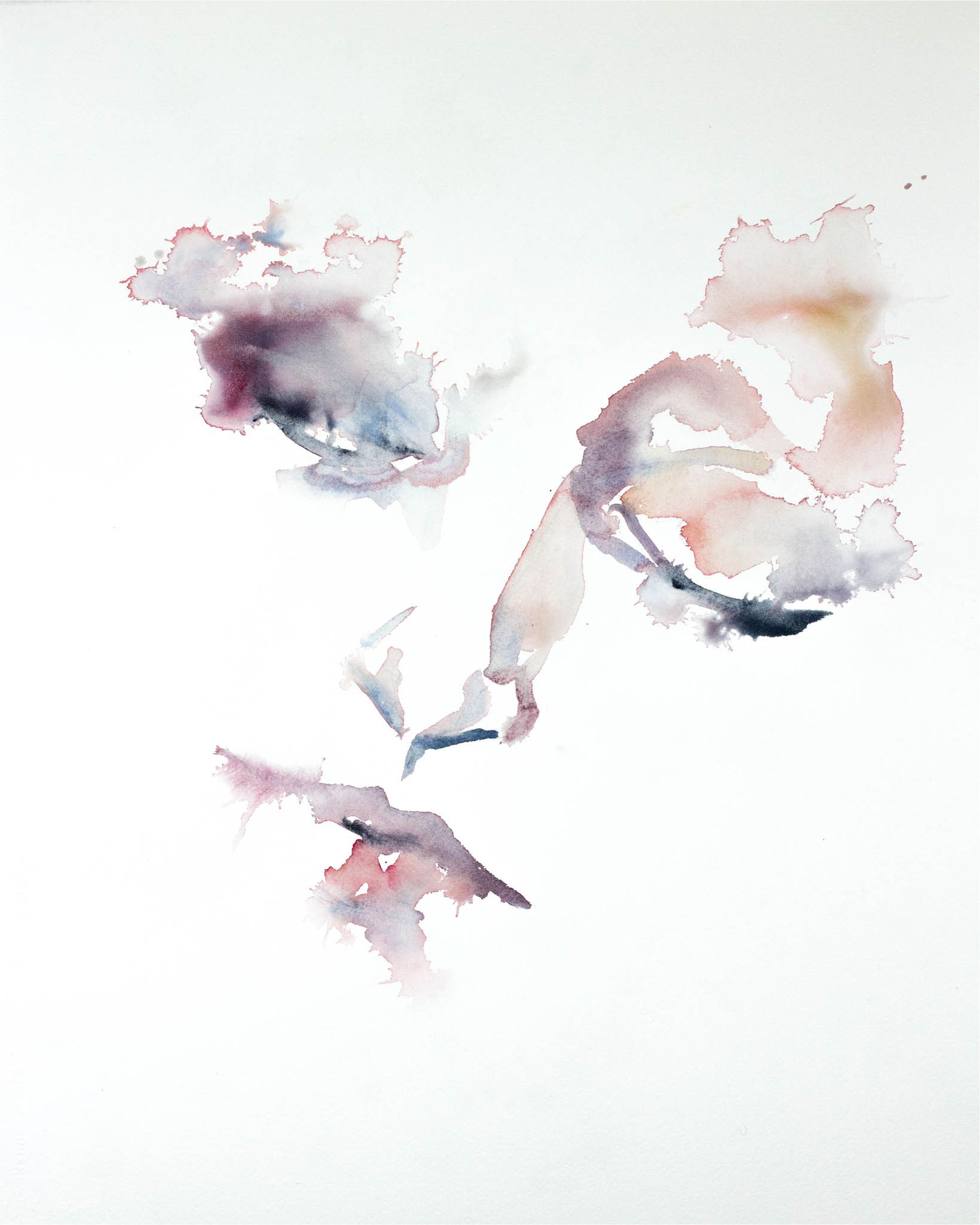 Elizabeth Becker, Dream Elizabeth Becker, Dream