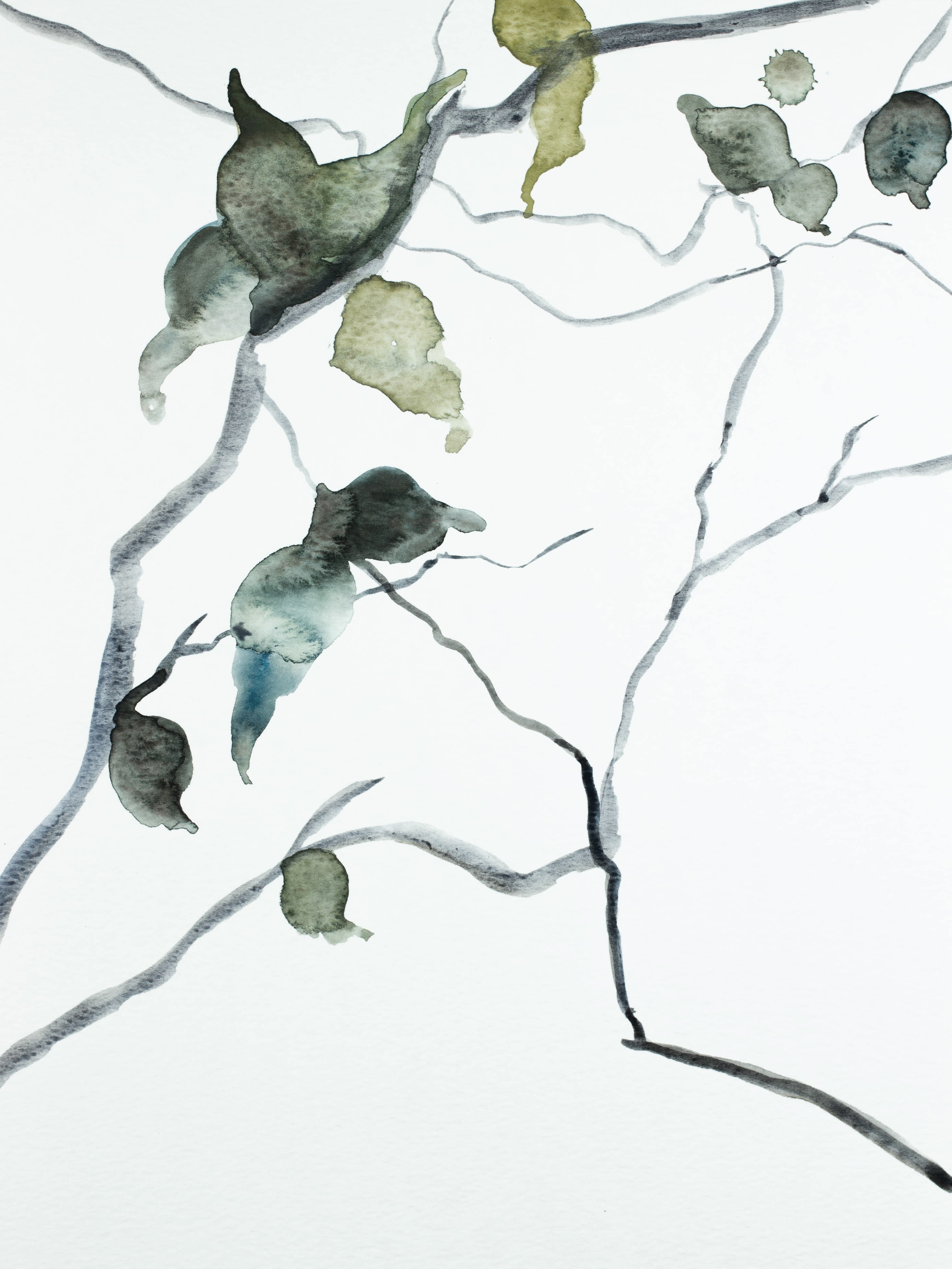 Elizabeth Becker, Branch Study No. 15 Elizabeth Becker, Branch Study No. 15