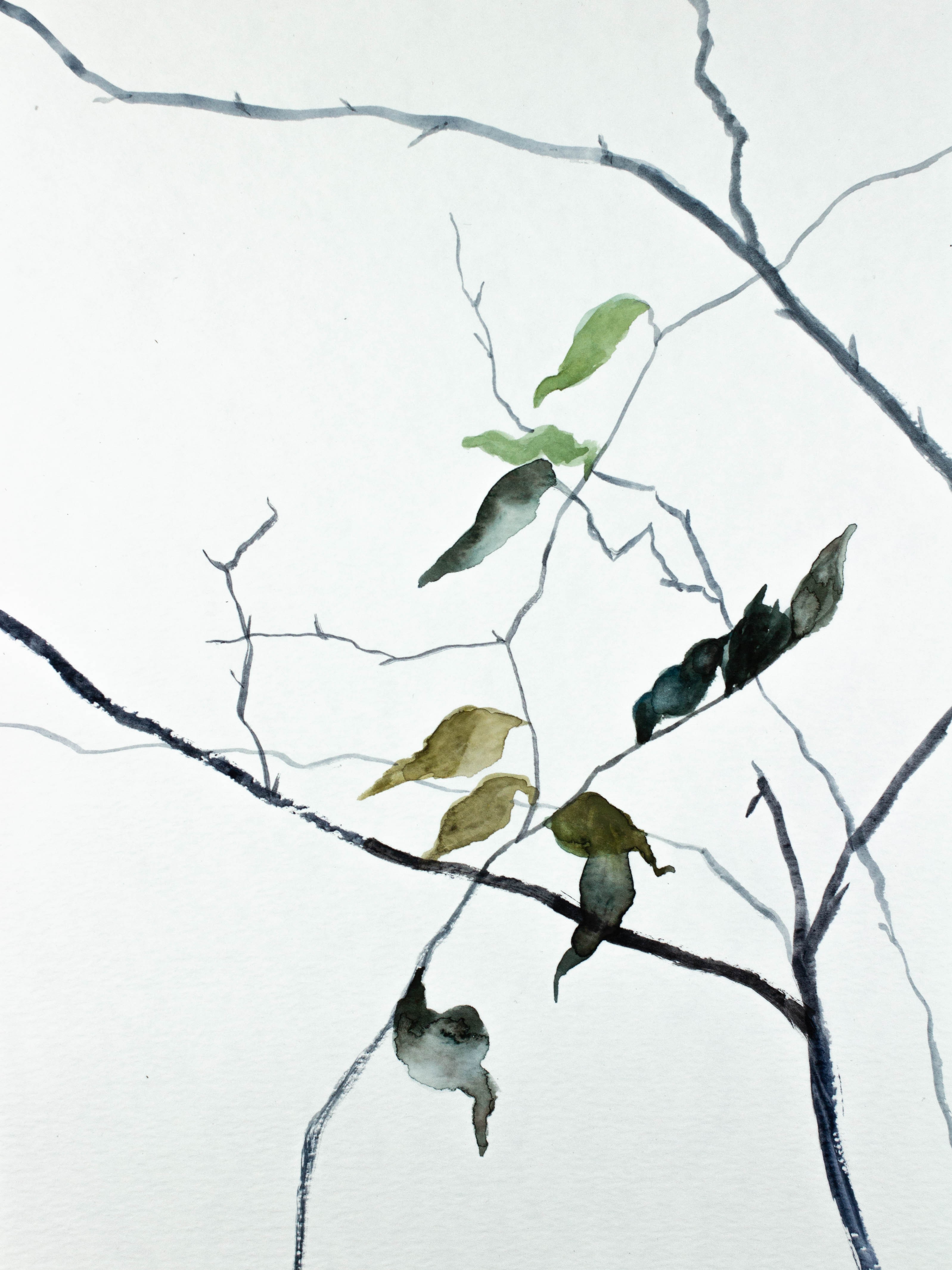 Elizabeth Becker, Gently No. 6 Elizabeth Becker, Gently No. 6