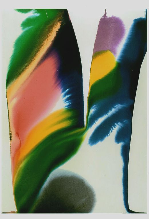 Paul Jenkins