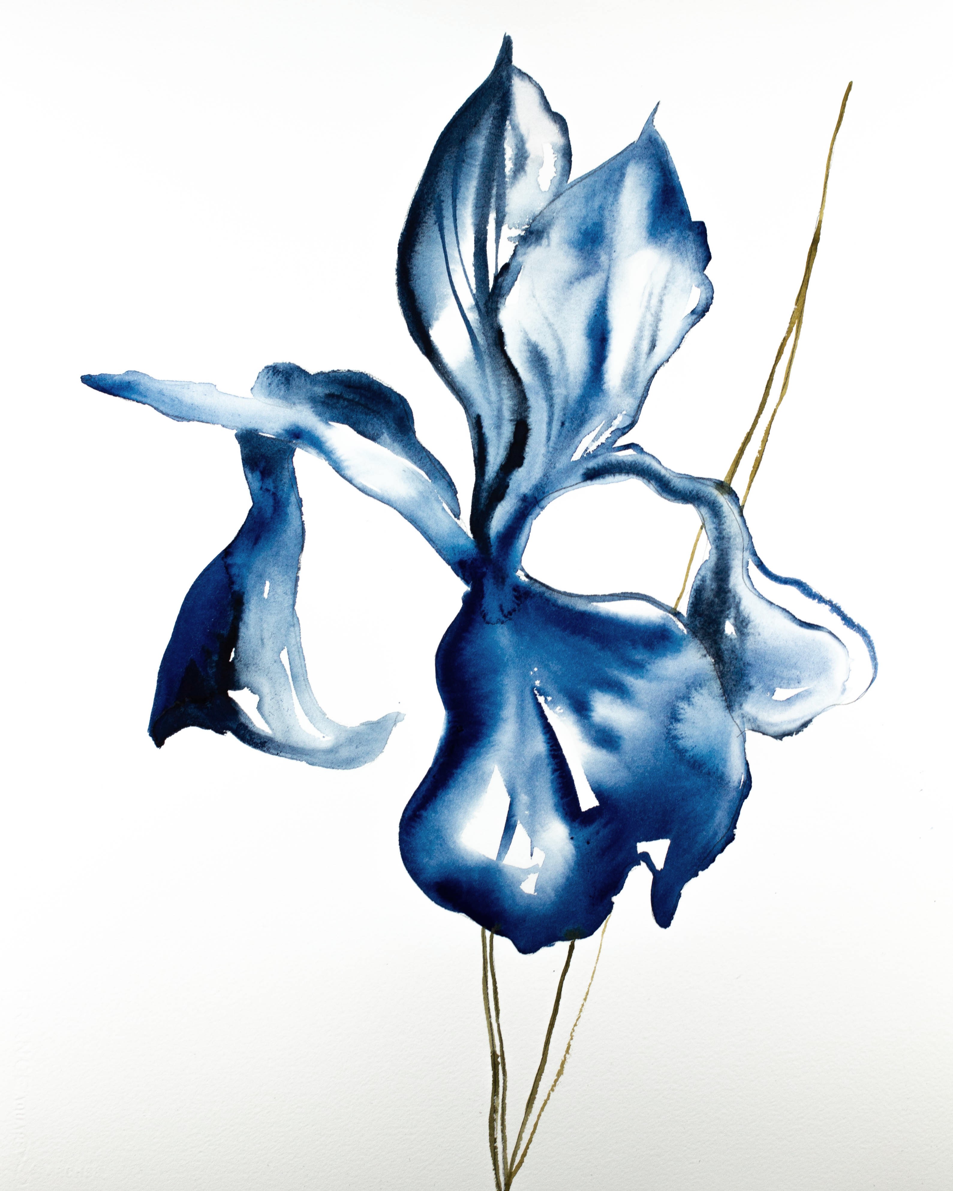 Elizabeth Becker, Iris No. 92 Elizabeth Becker, Iris No. 92