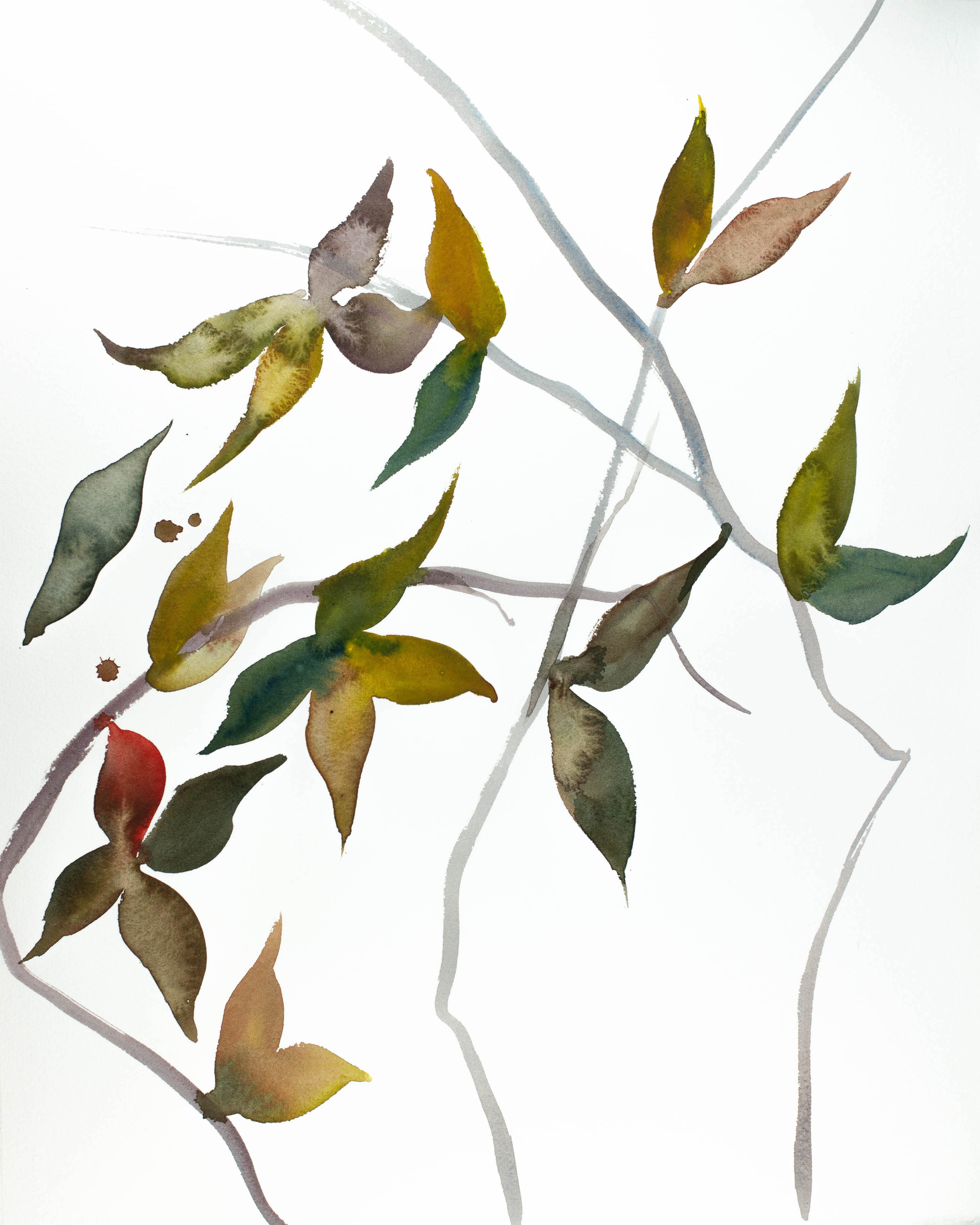 Elizabeth Becker, November Branches No. 9 Elizabeth Becker, November Branches No. 9