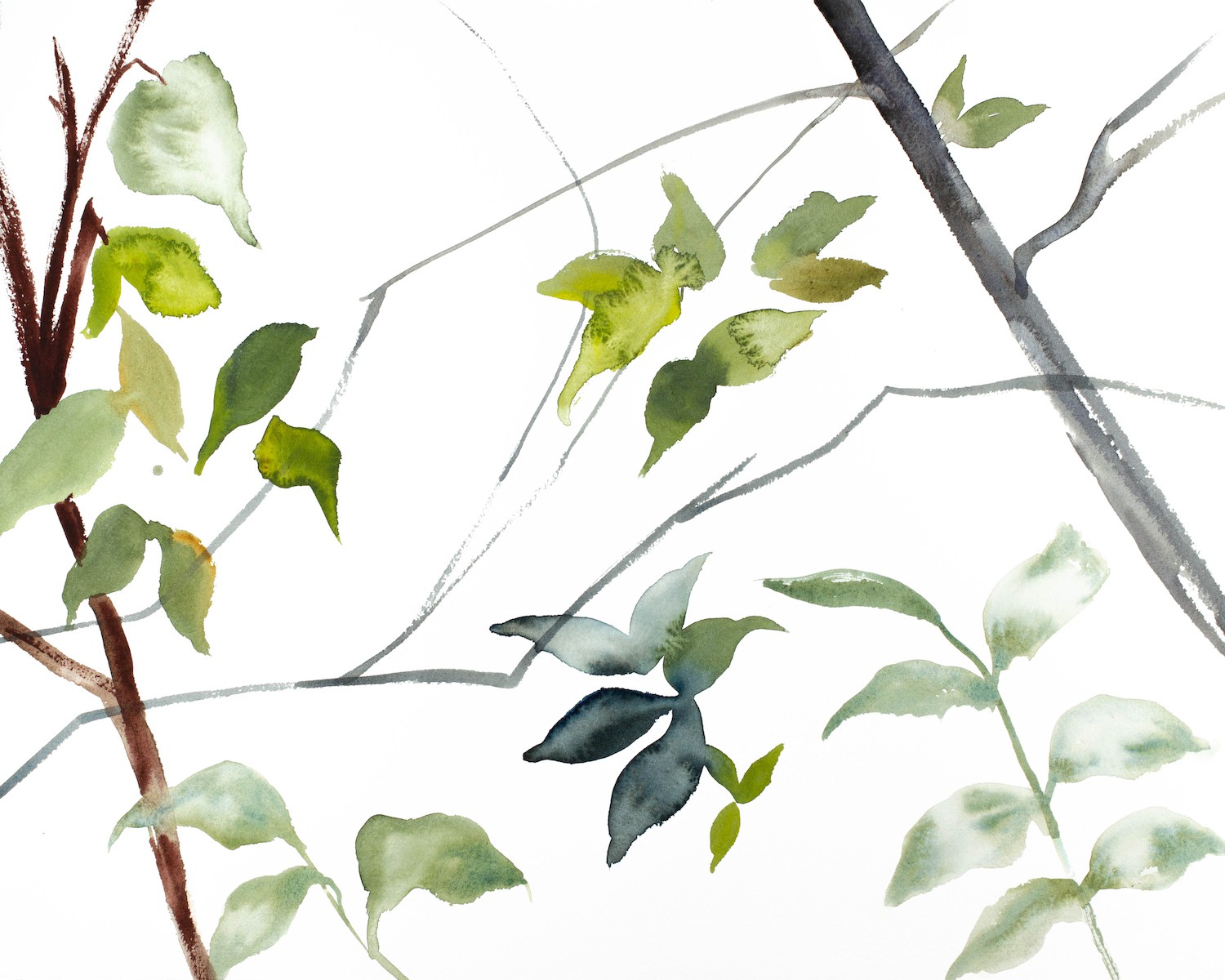 Elizabeth Becker, The Woods No. 84 Elizabeth Becker, The Woods No. 84