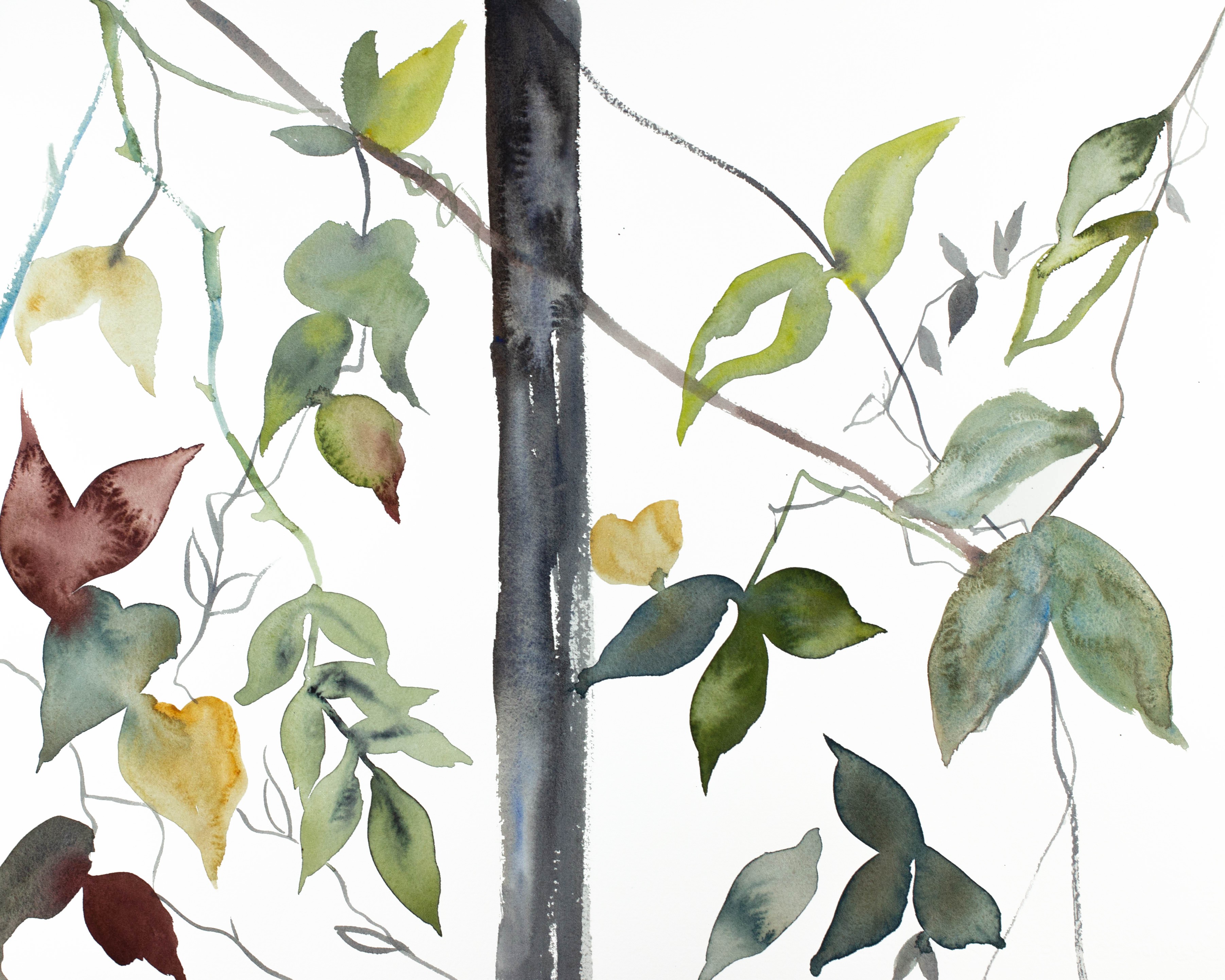 Elizabeth Becker, The Woods No. 85 Elizabeth Becker, The Woods No. 85