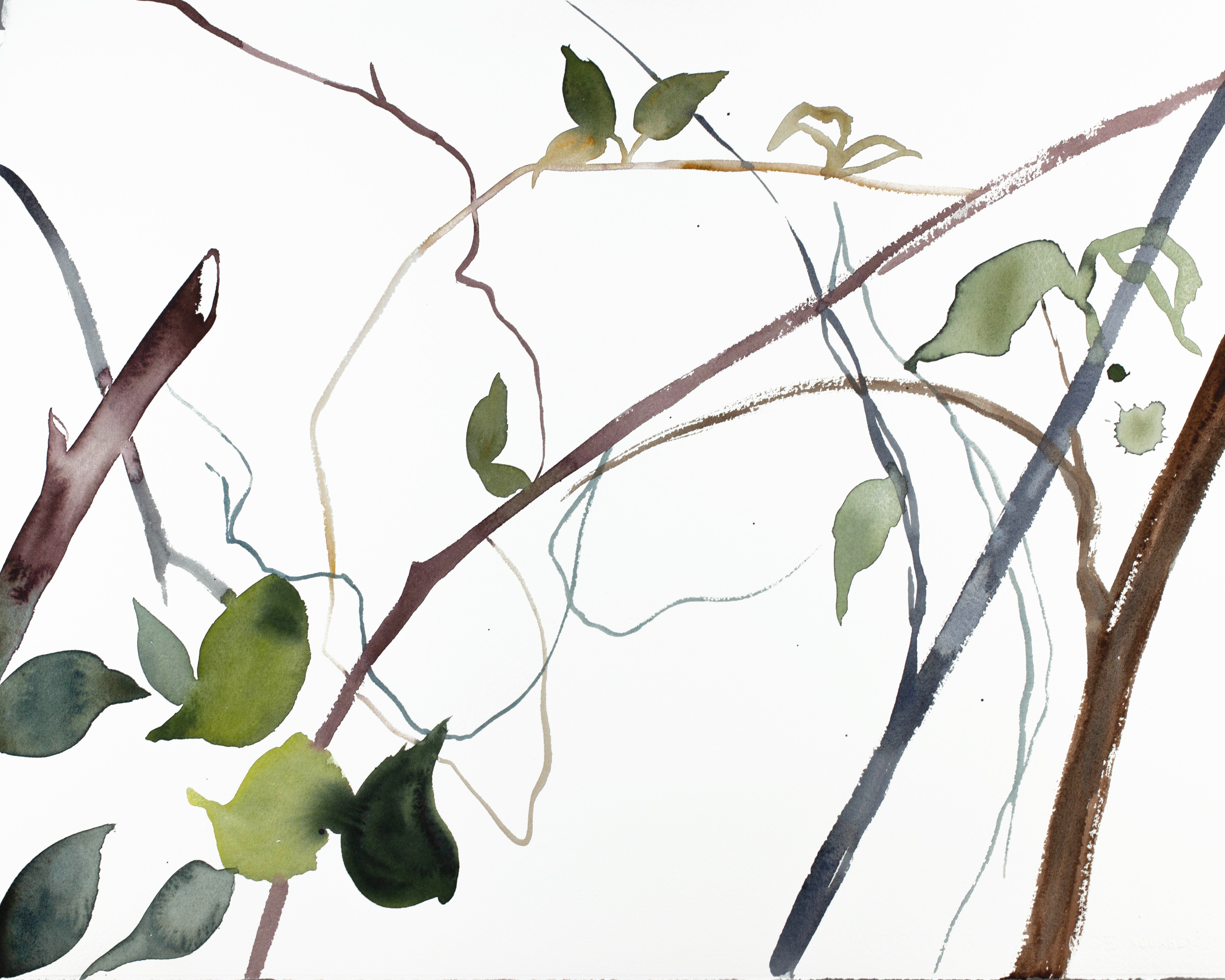 Elizabeth Becker, The Woods No. 87 Elizabeth Becker, The Woods No. 87