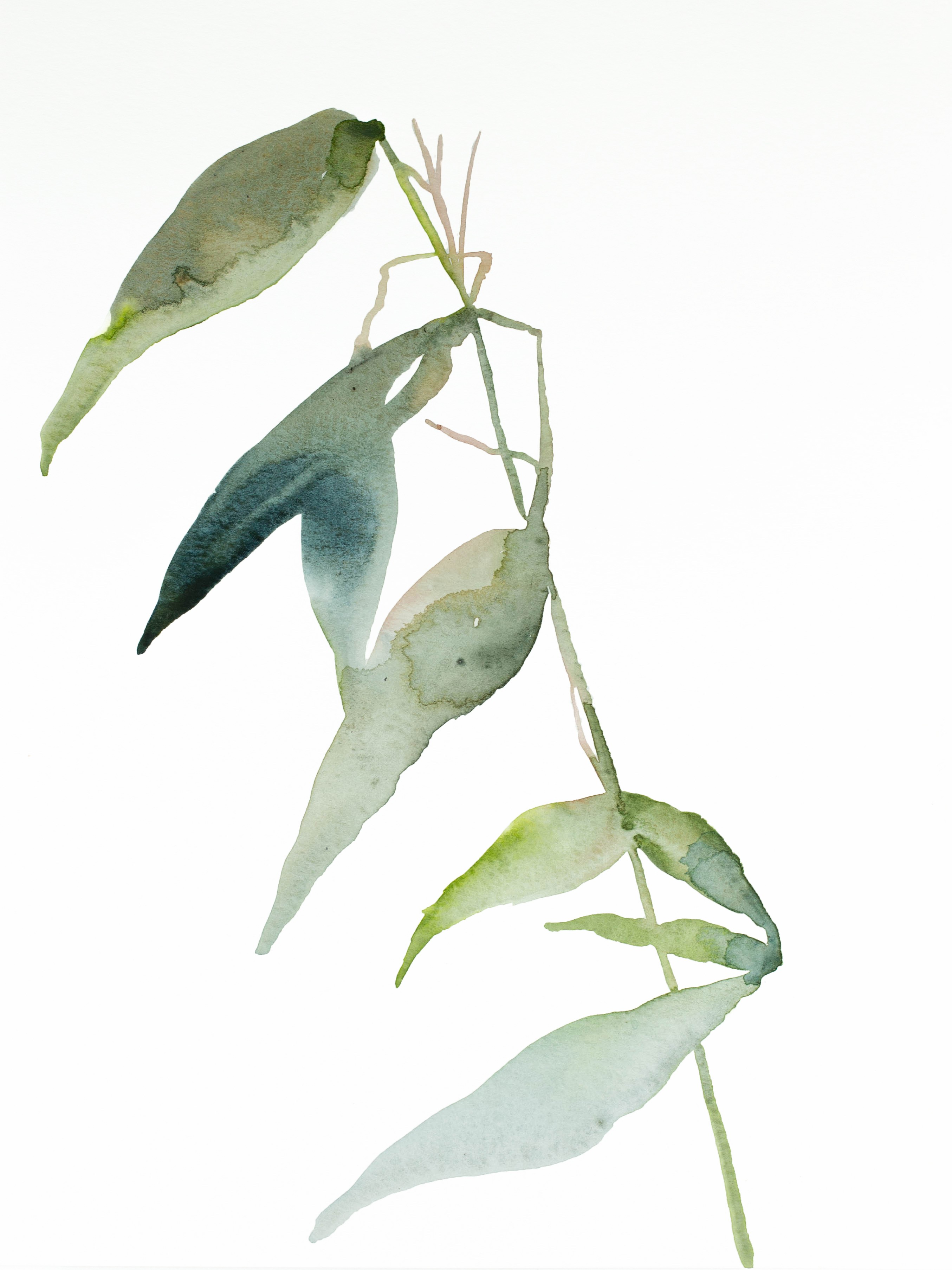 Elizabeth Becker, Grass Study Elizabeth Becker, Grass Study