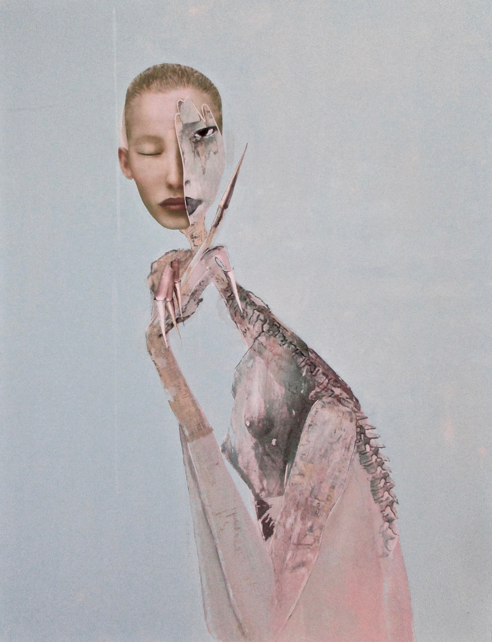 Marian Williams, Digitus Medius Marian Williams, Digitus Medius