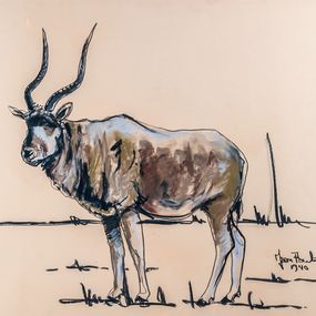 Fine Art Drawings, Antilope Kobo, Jean Poulain