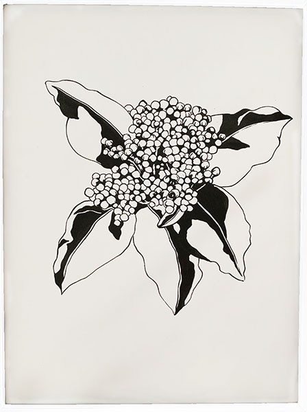Célia Picard, Untitled_3 Célia Picard, Untitled_3