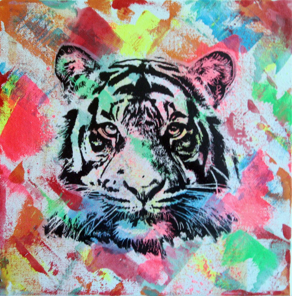 PyB, Mr Tiger PyB, Mr Tiger