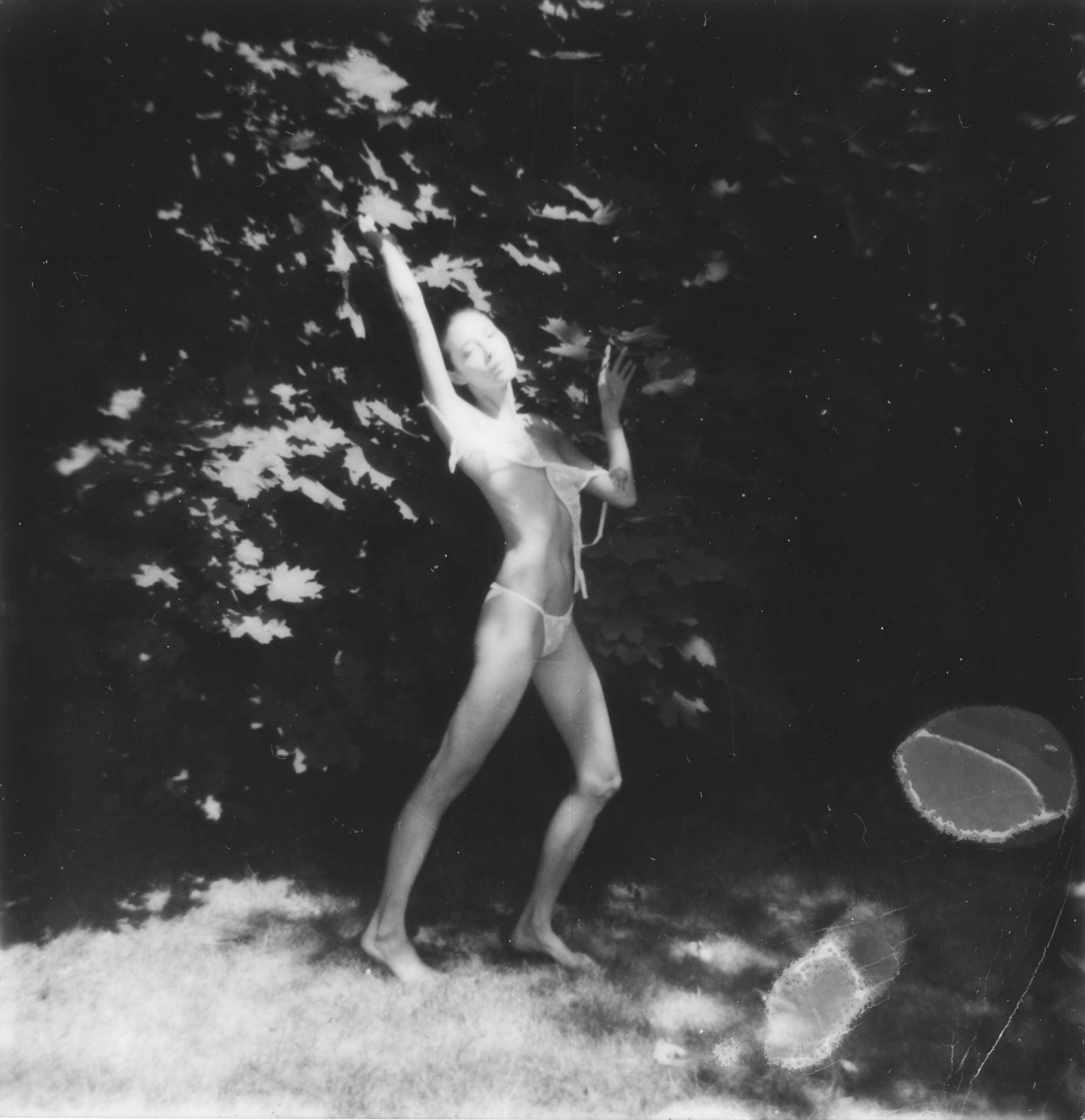 Arnaud Ele, Forest Arnaud Ele, Forest
