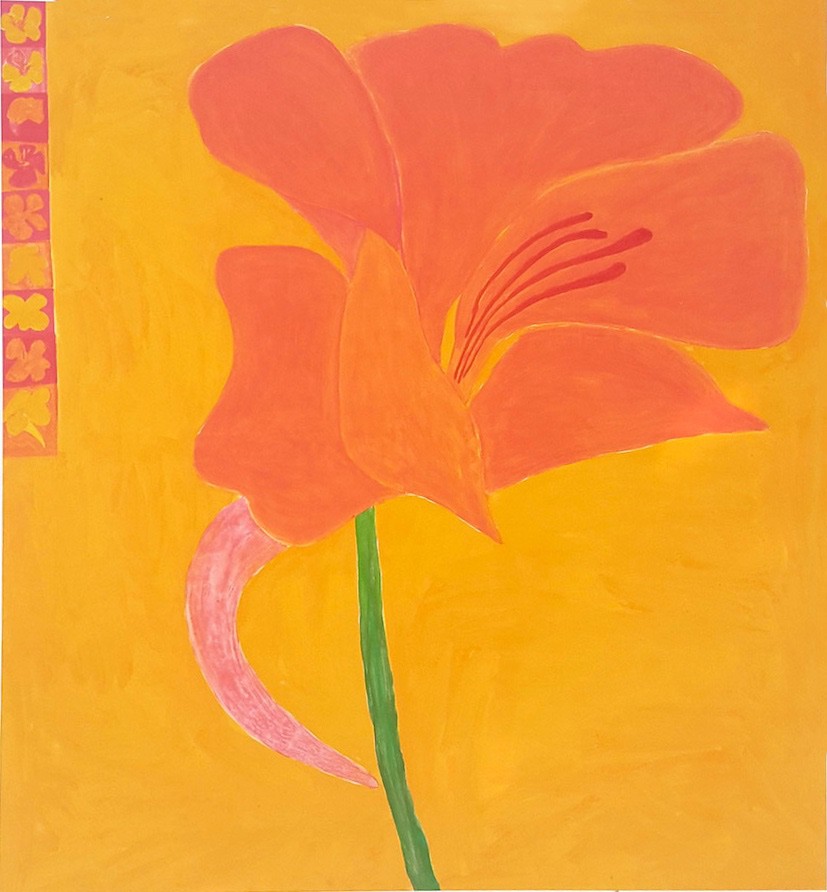 Ken Done, Nasturtium Ken Done, Nasturtium
