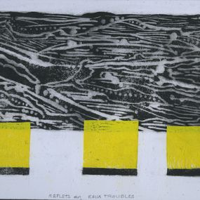 Reflets en Eaux Troubles, Monique Dezès