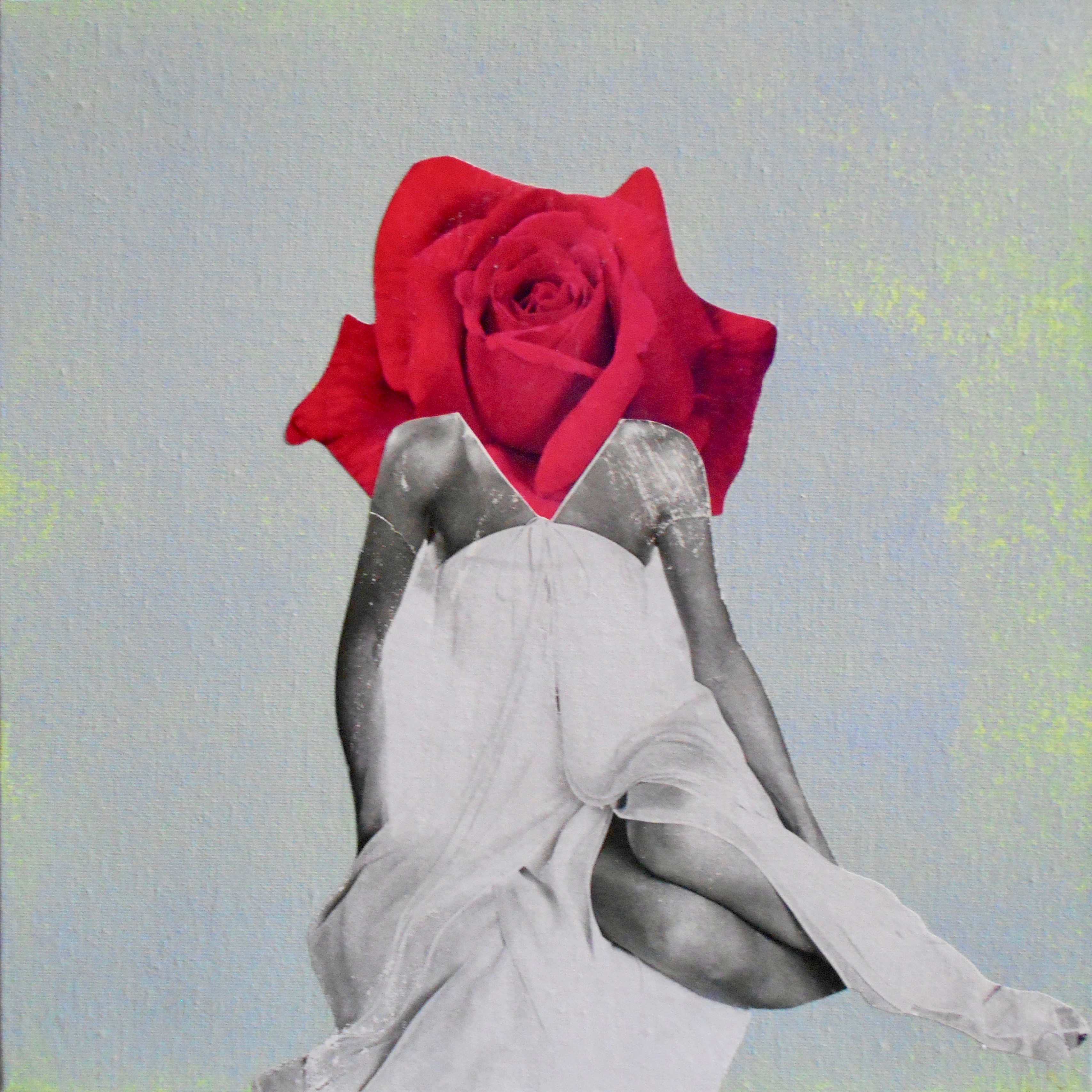 Marian Williams, Red Rose Marian Williams, Red Rose