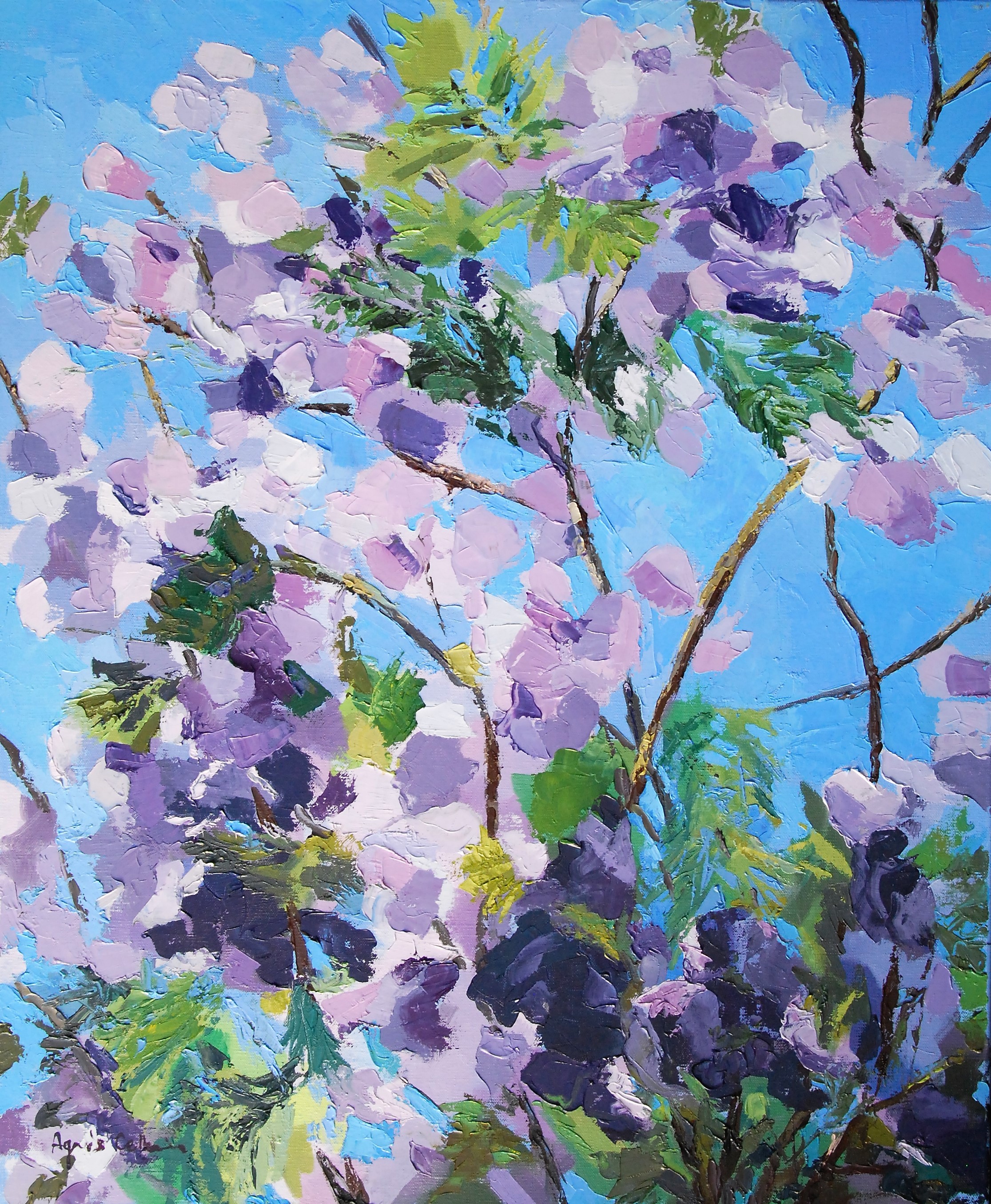 Agnès Cellérier, Jacaranda Agnès Cellérier, Jacaranda