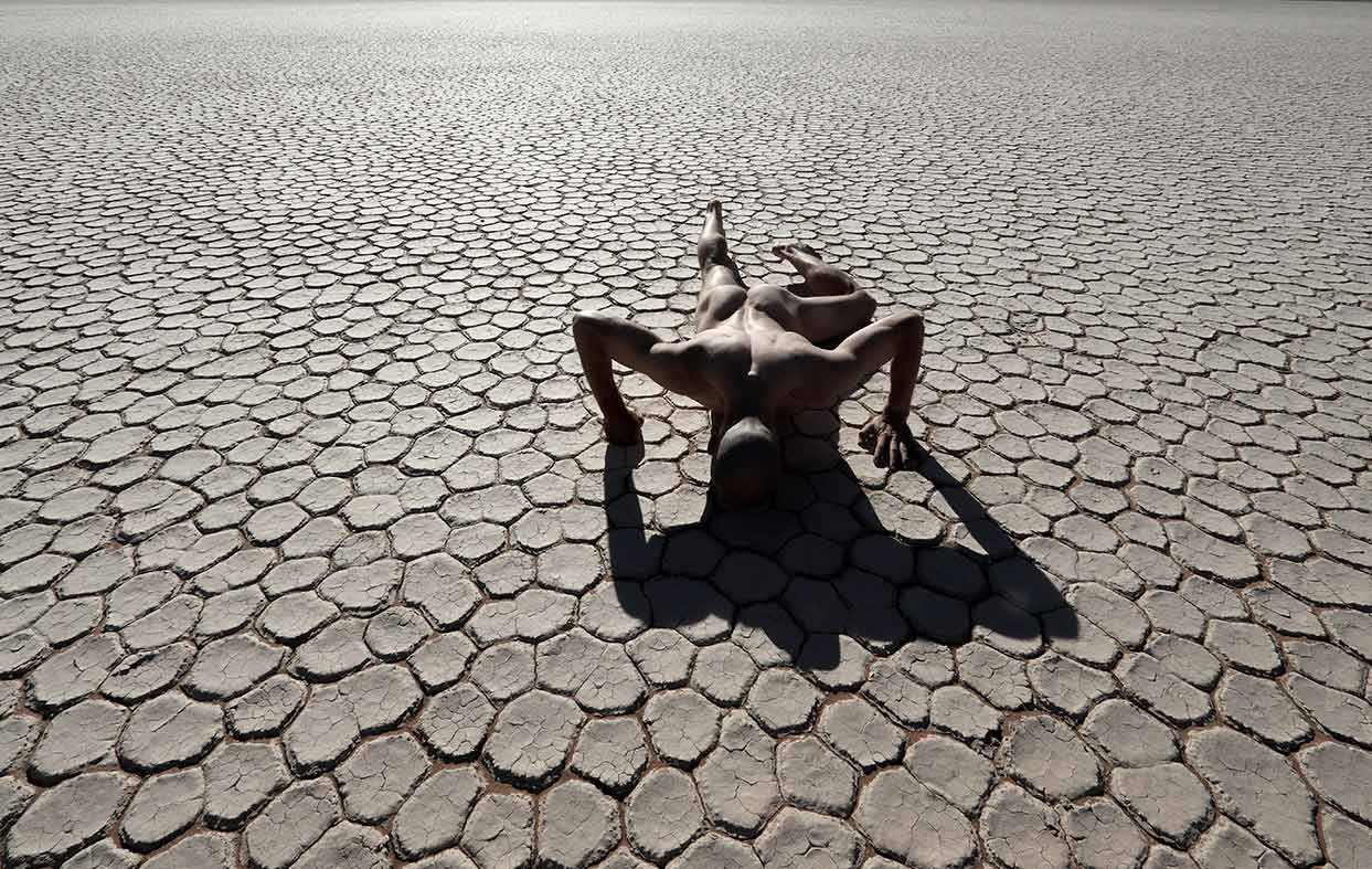 Vincent Citot, Struggle for life (Namibie) Vincent Citot, Struggle for life (Namibie)