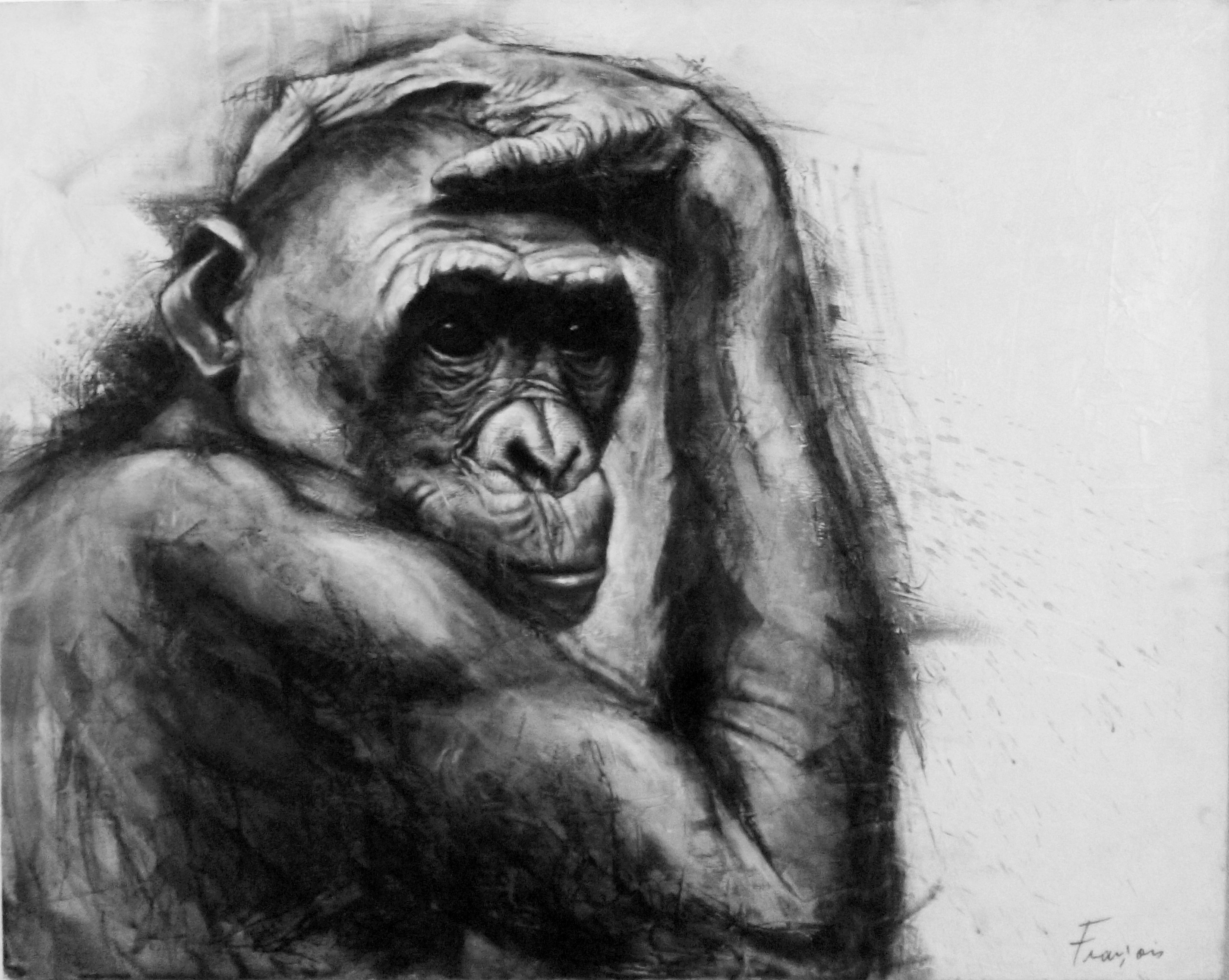 François Cognet, Série grands singes - 11/5 François Cognet, Série grands singes - 11/5