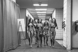 Fotografien, #11 Arnold Classic, David Nicolas Parel