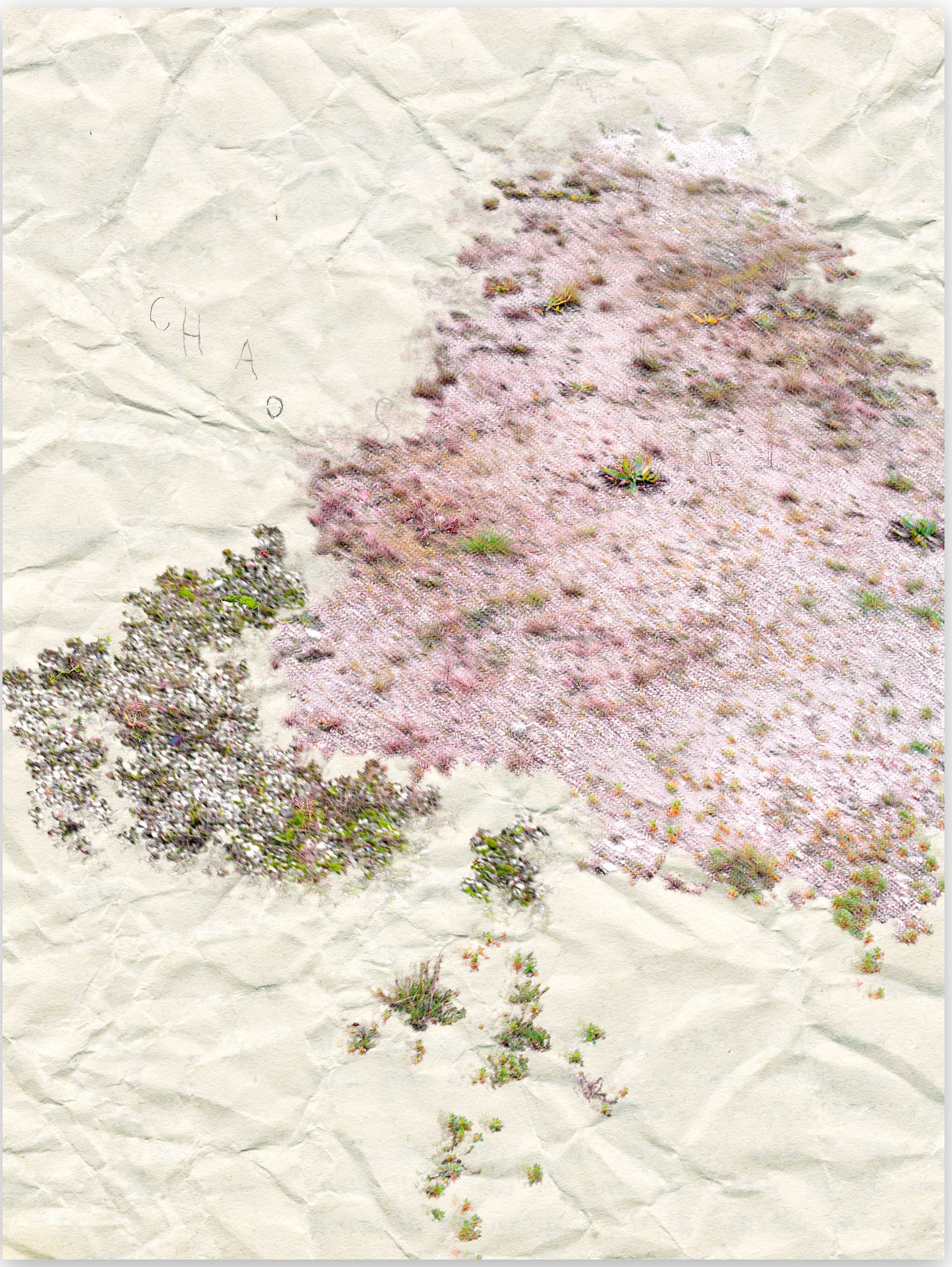 Gianfranco Pezzot, I. Anthropological Purity Gianfranco Pezzot, I. Anthropological Purity