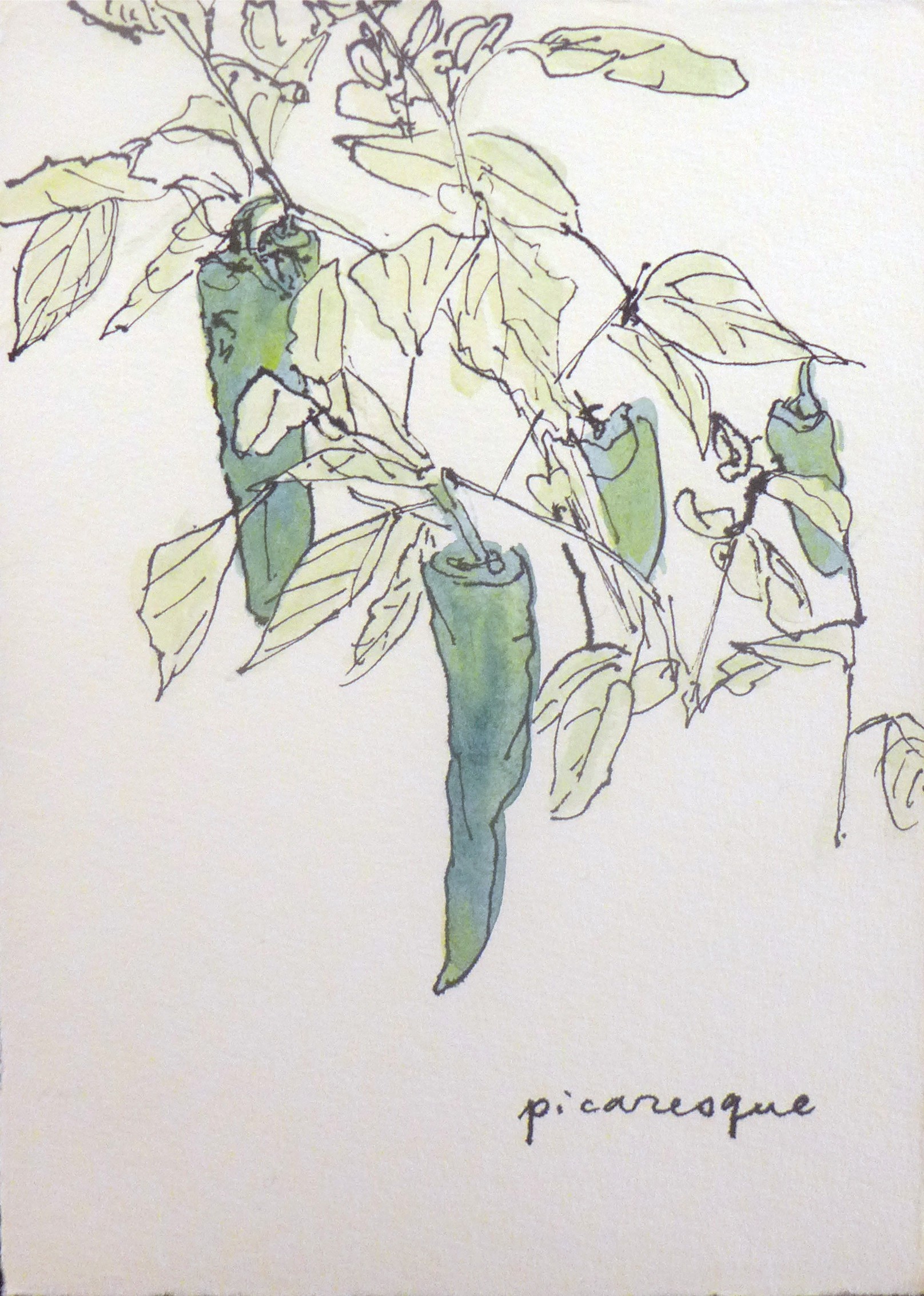 Lei Saito, Picaresque Lei Saito, Picaresque