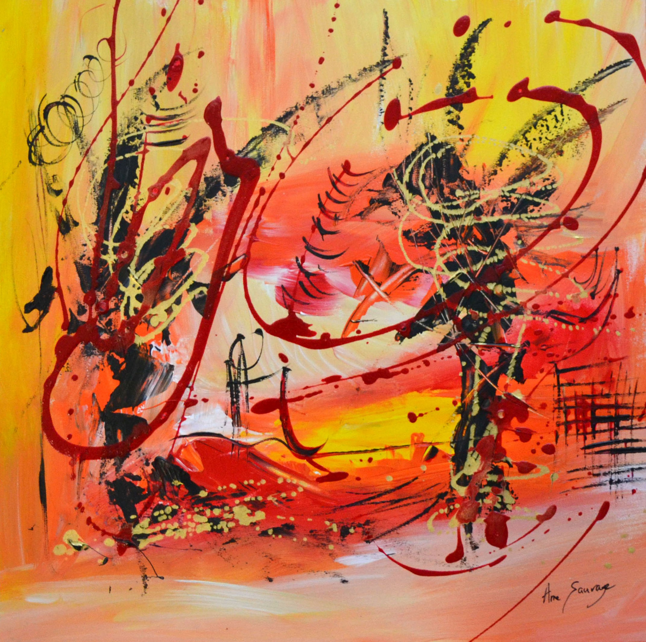 Âme Sauvage, L'écrivain Âme Sauvage, L'écrivain