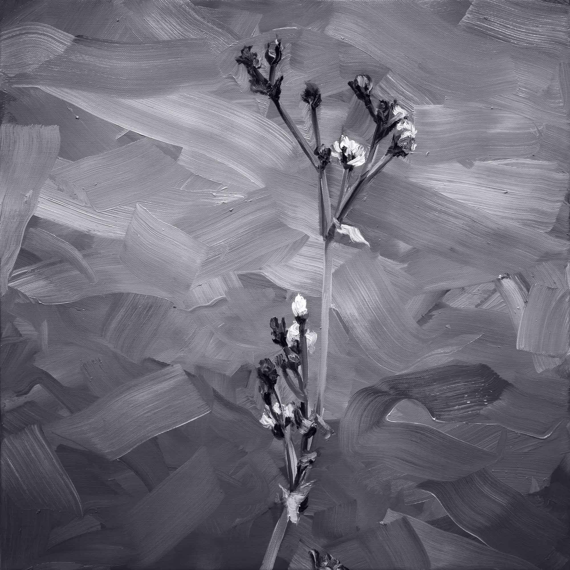 Yoann Merienne, Fleurs III Yoann Merienne, Fleurs III
