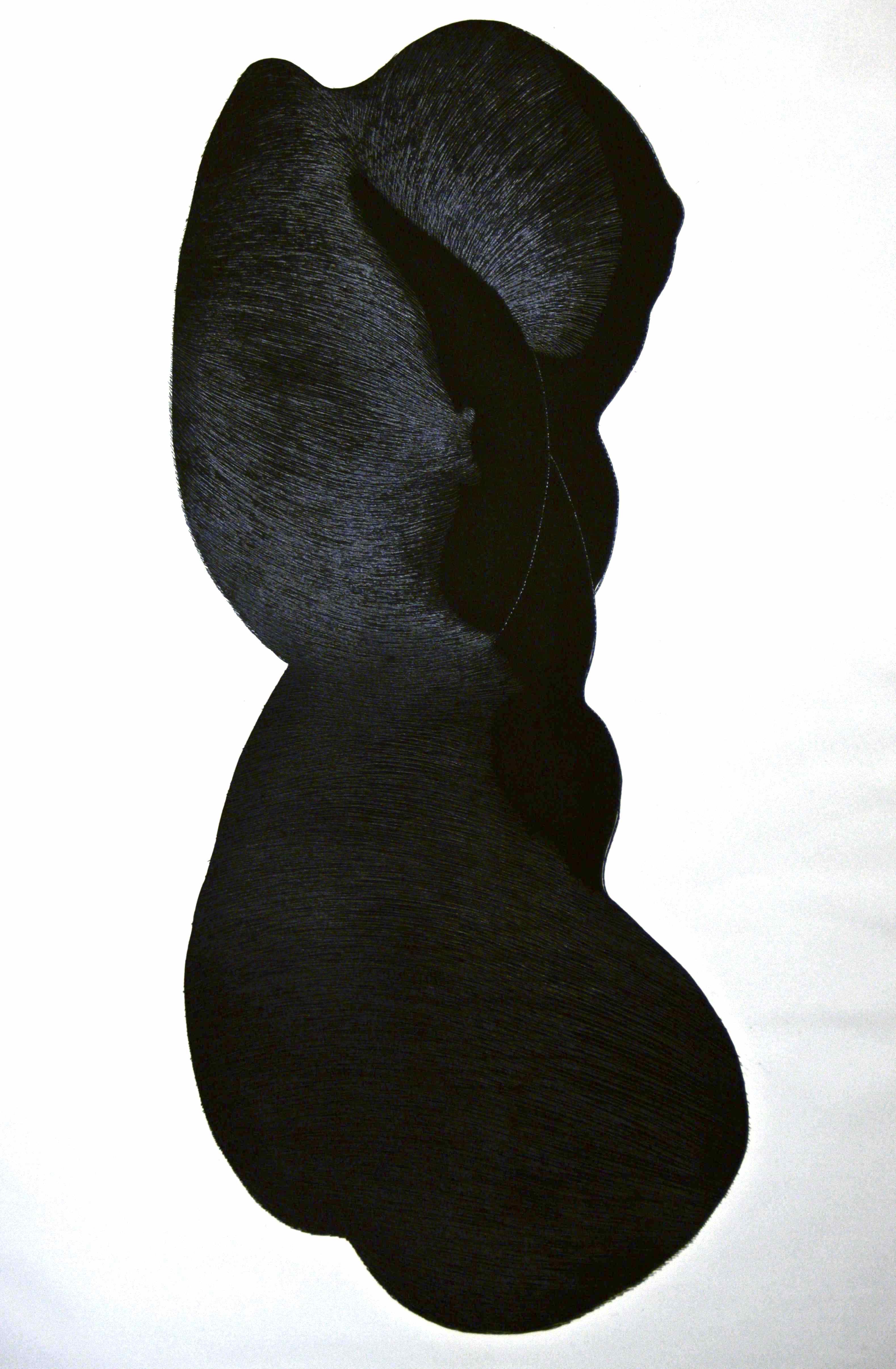 Giacomo Porzano, Silhouette Giacomo Porzano, Silhouette