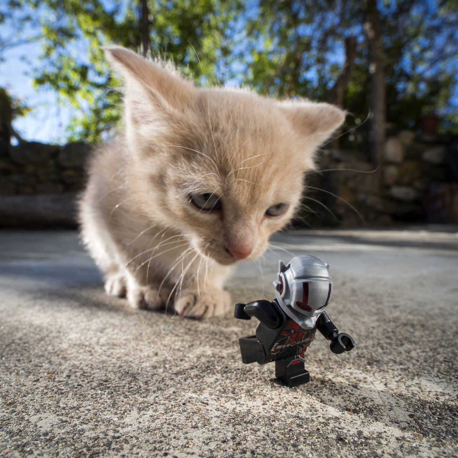 Samsofy, Antman Escape Samsofy, Antman Escape