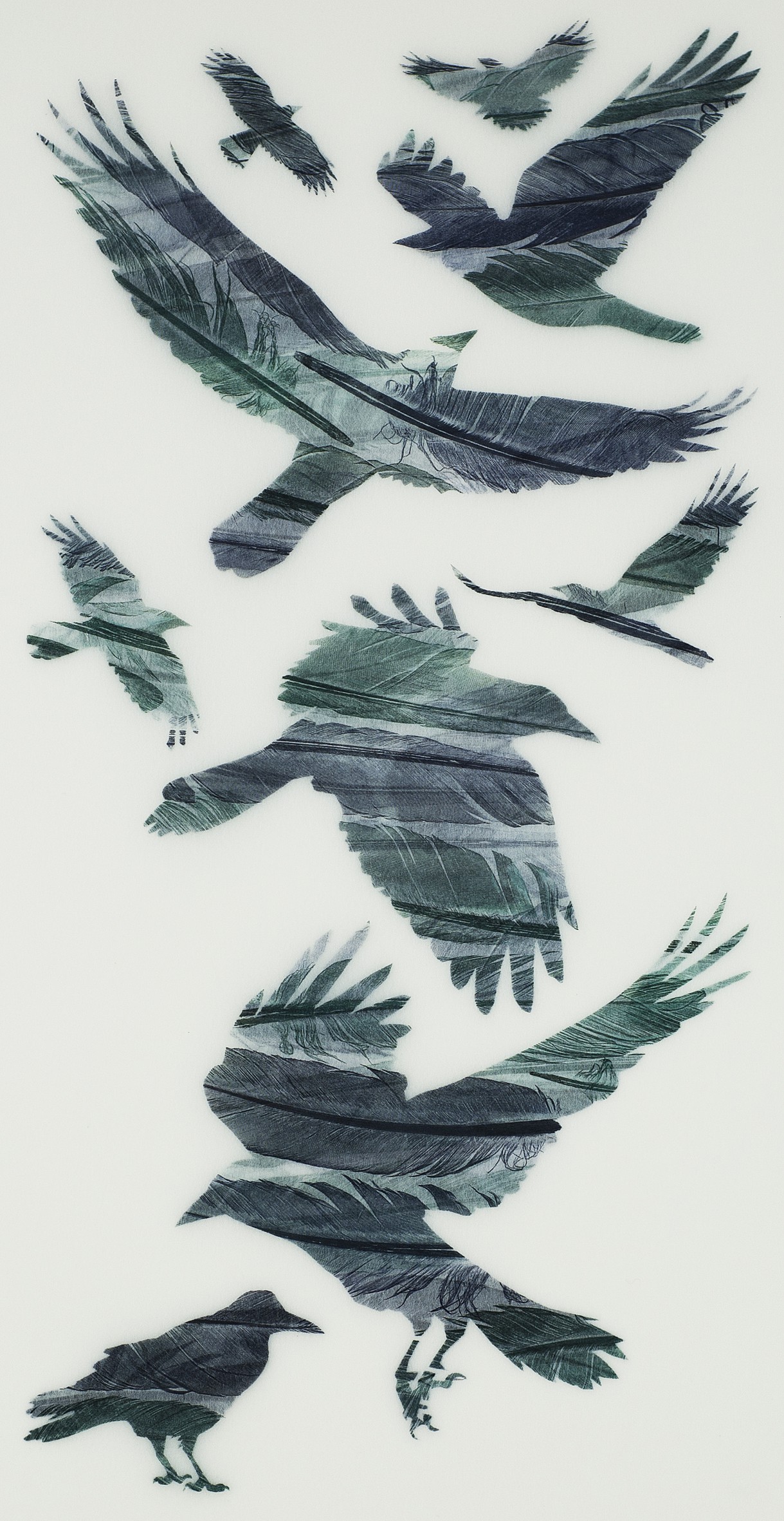 Ruth Thomas, A Loosely Woven Flock of Rooks Ruth Thomas, A Loosely Woven Flock of Rooks