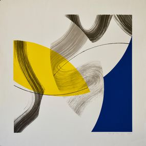 Drucke, Curva 10 n°31/50, J/Y Delaunay-Israël