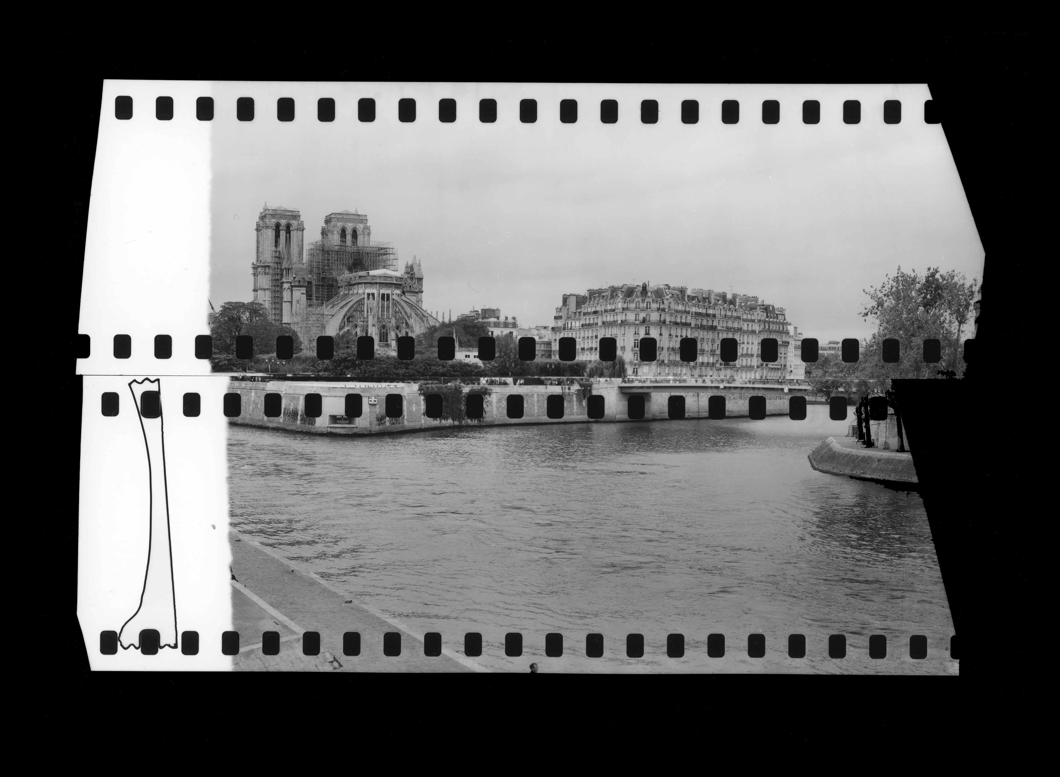 Bruno Fournier, Paris Notre Dame Cathedrale de Paris 7 Bruno Fournier, Paris Notre Dame Cathedrale de Paris 7