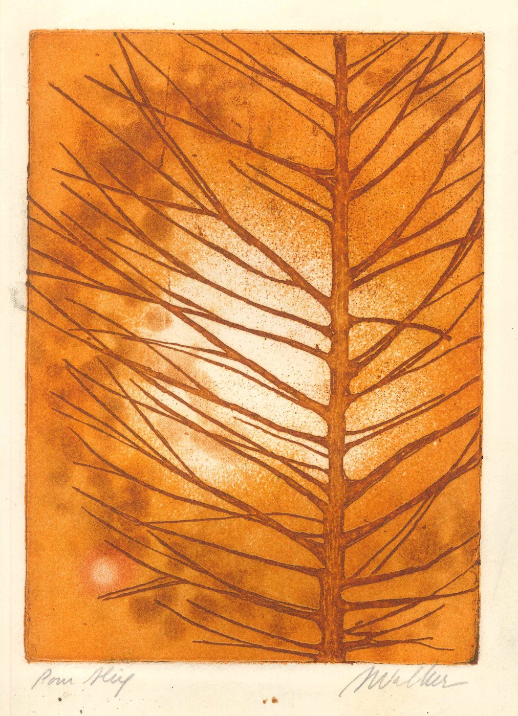 Anne Walker, Leaf Anne Walker, Leaf