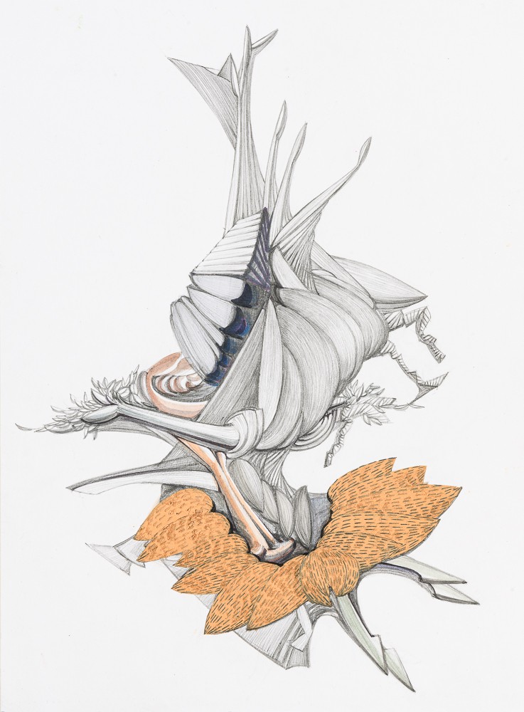 Ji-Yun, Sans titre 19 Ji-Yun, Sans titre 19