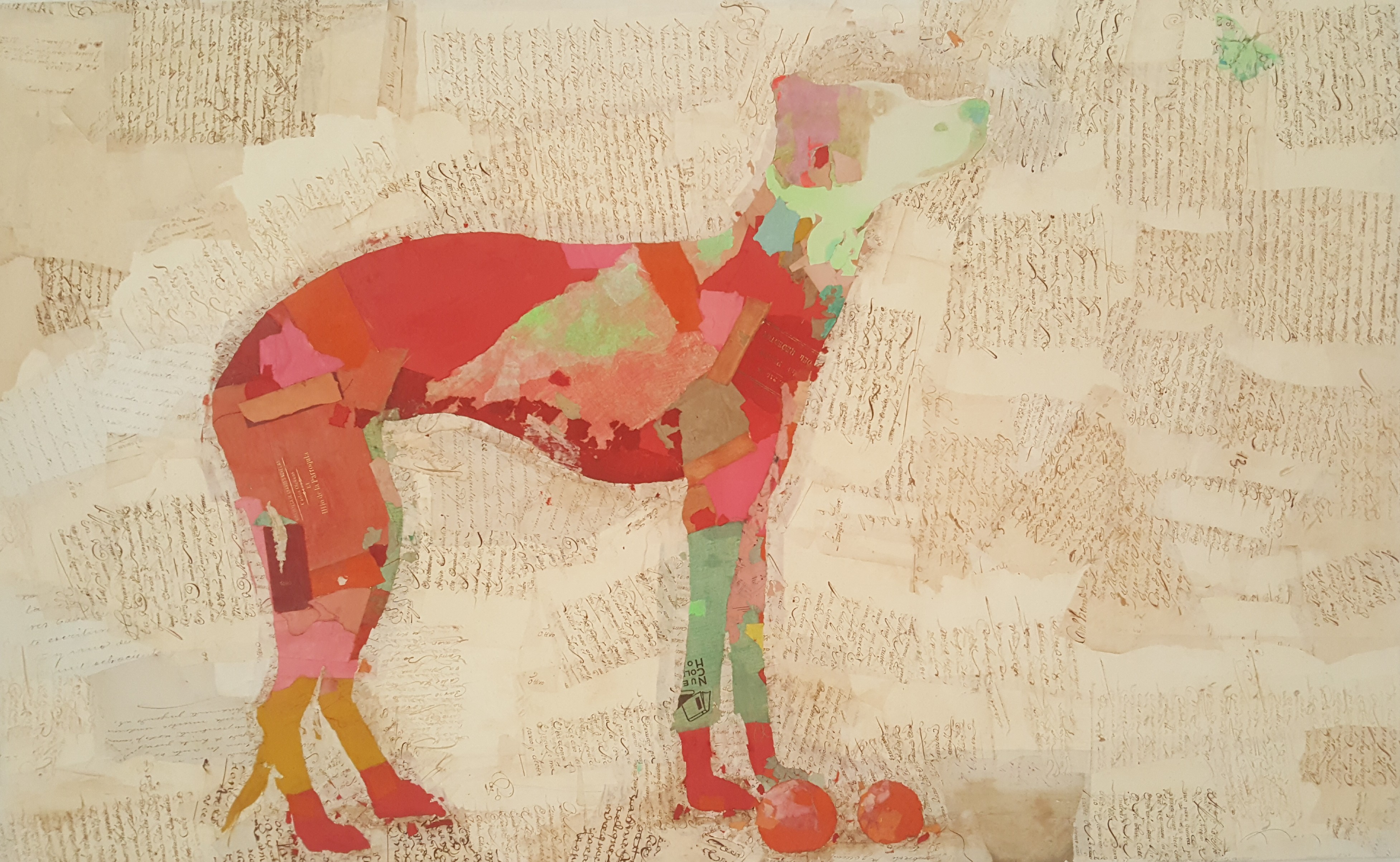 Fernando Alday, Dog Fernando Alday, Dog