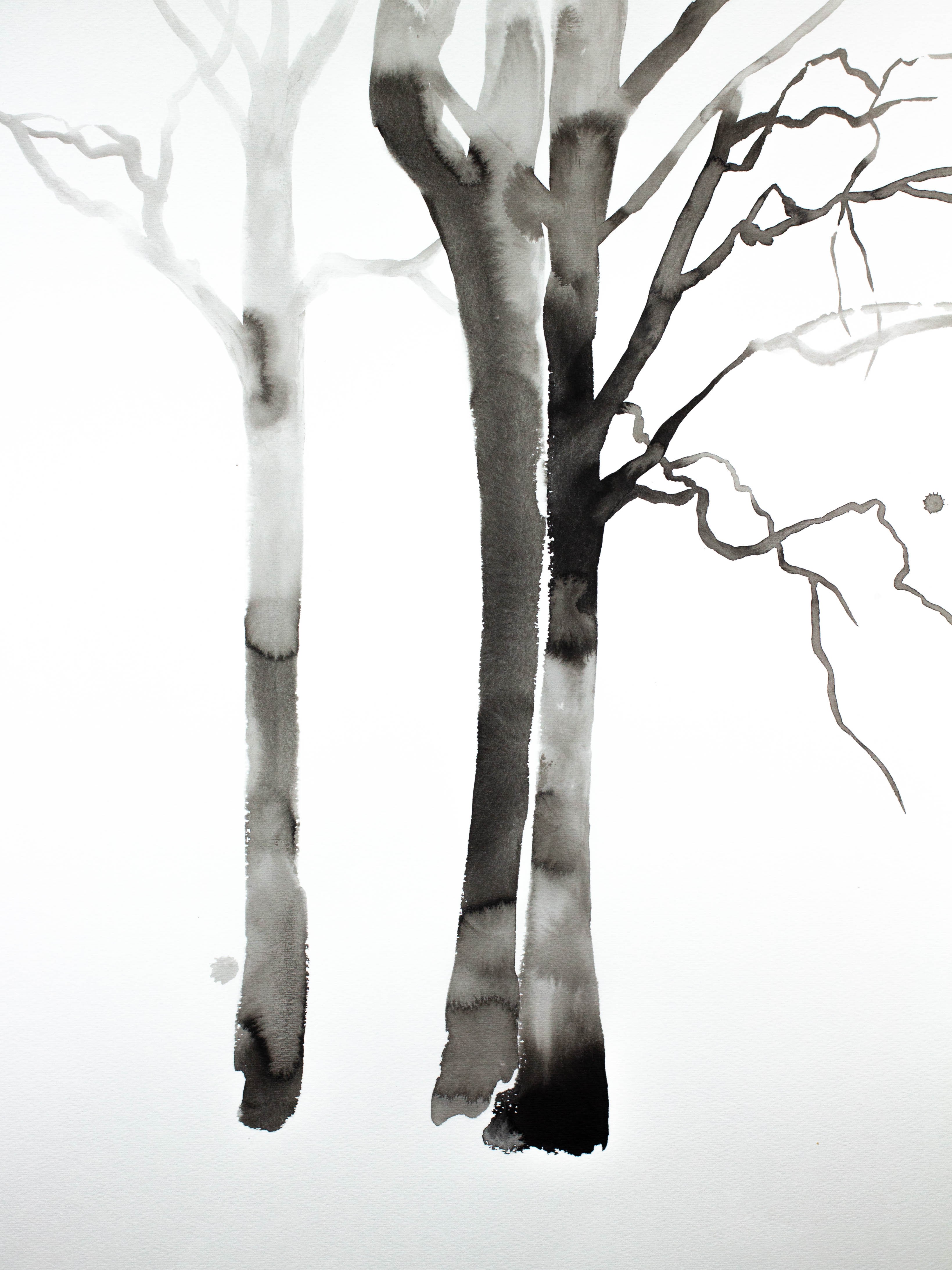 Elizabeth Becker, Barren No. 13 Elizabeth Becker, Barren No. 13