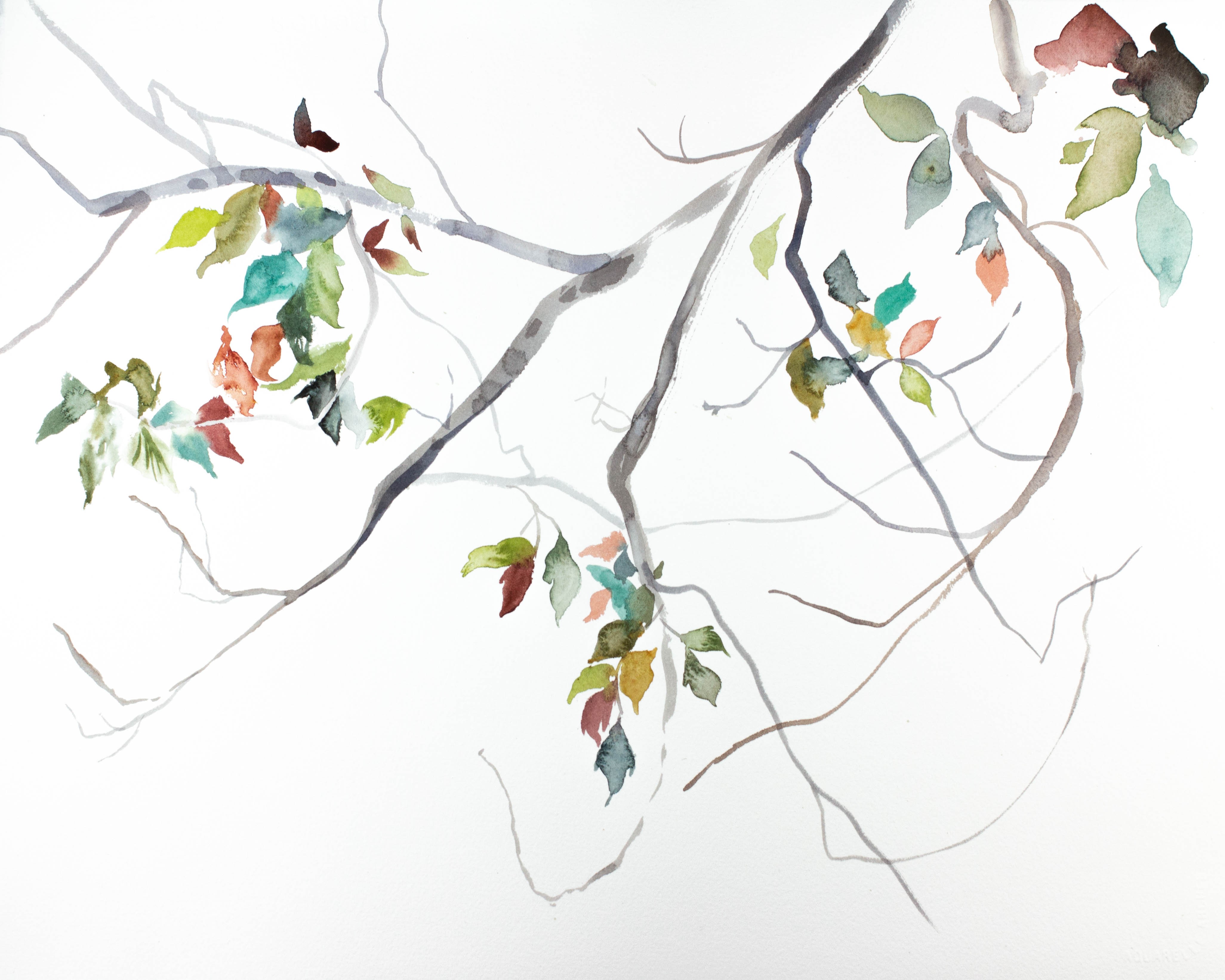 Elizabeth Becker, Branch Study No. 18 Elizabeth Becker, Branch Study No. 18