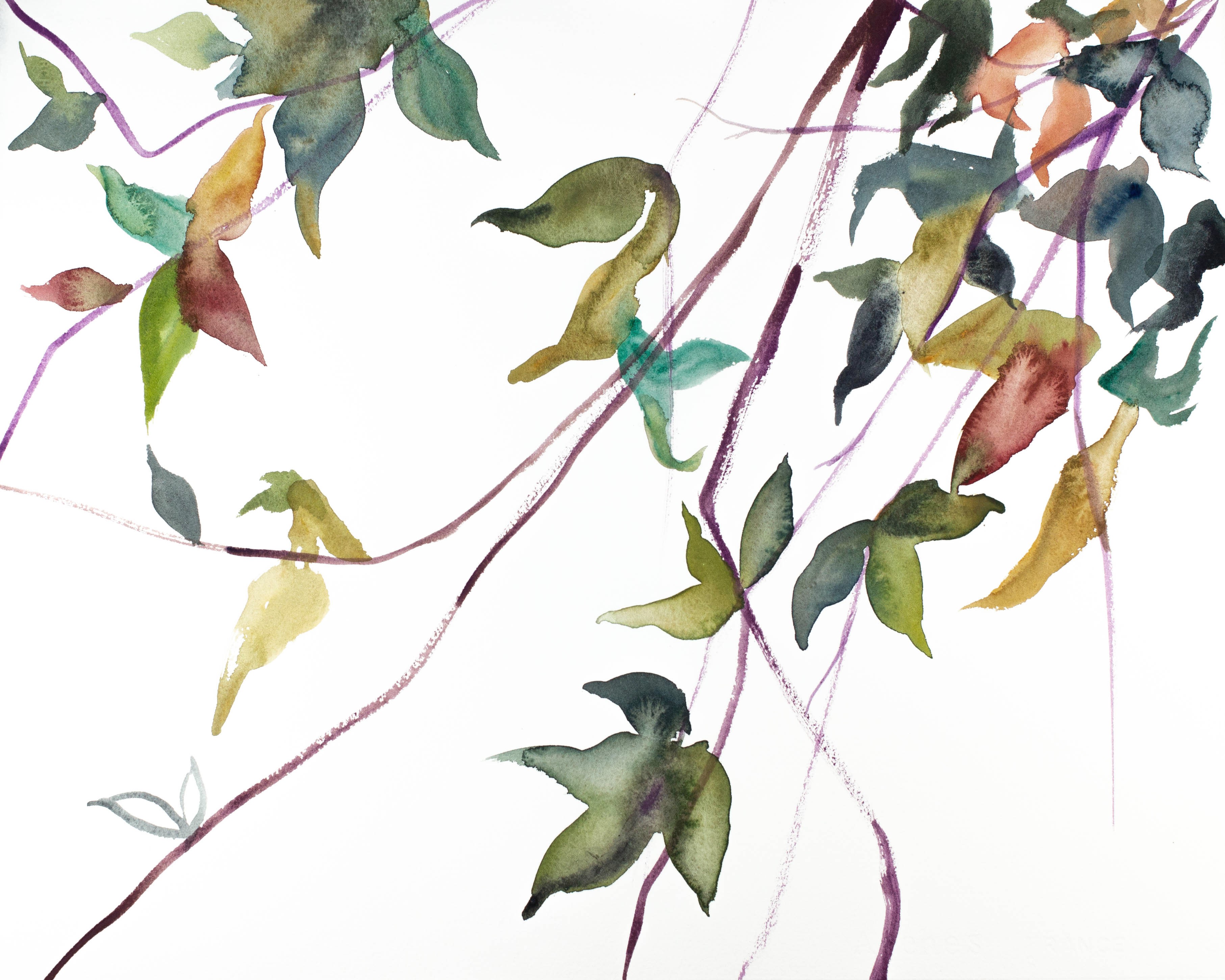 Elizabeth Becker, Branch Study No. 20 Elizabeth Becker, Branch Study No. 20