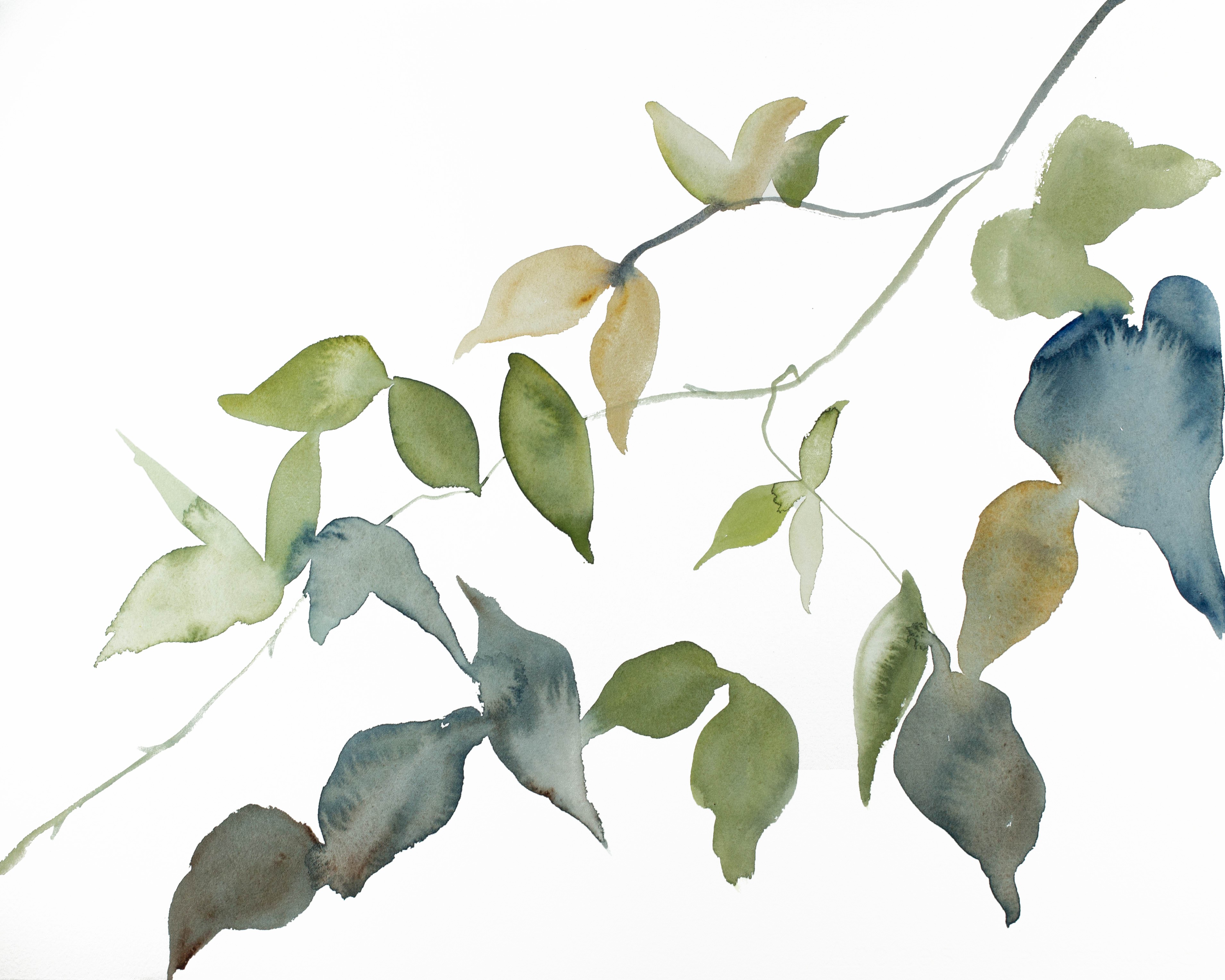 Elizabeth Becker, Branch Study No. 21 Elizabeth Becker, Branch Study No. 21