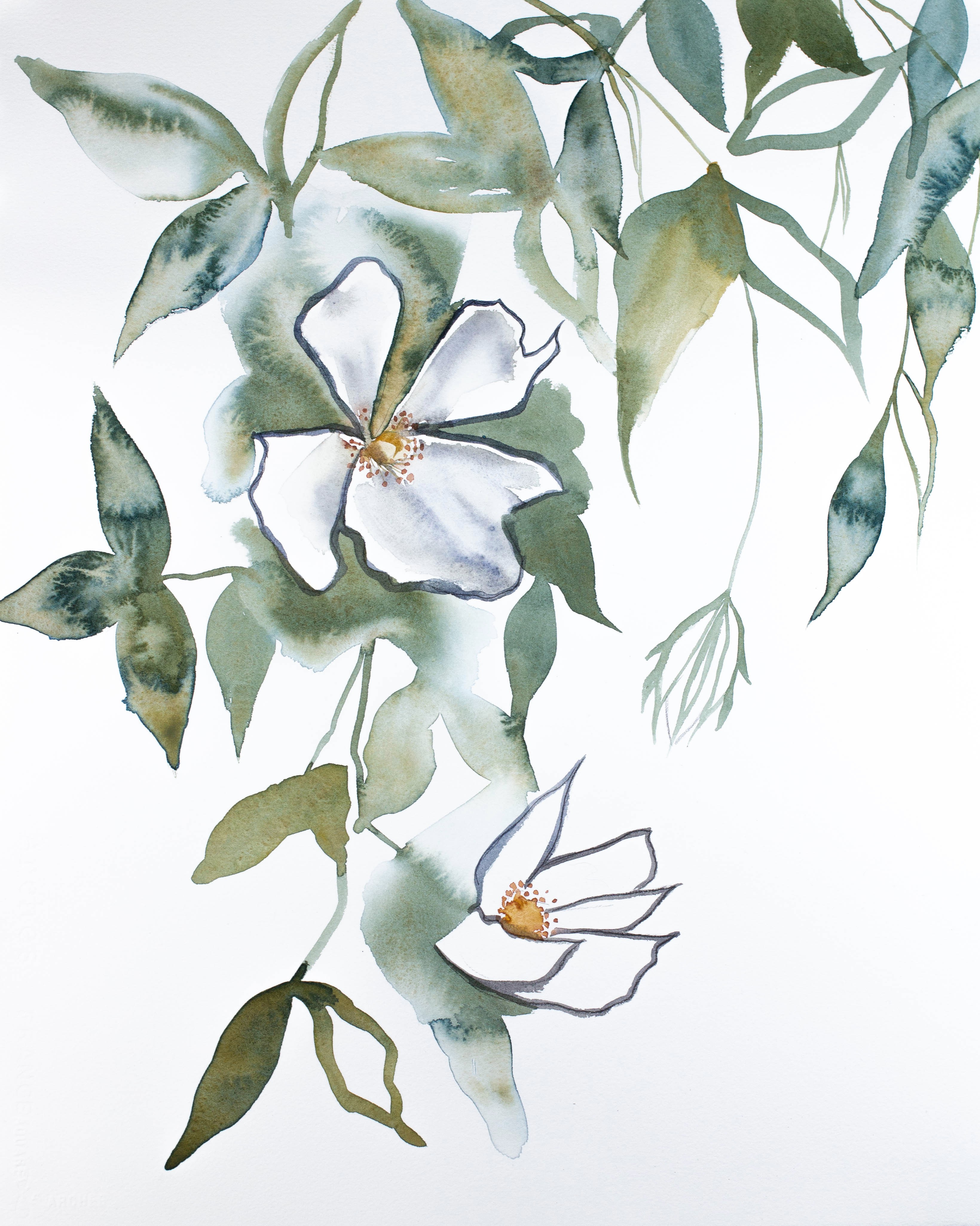 Elizabeth Becker, Cherry Blossom No. 13 Elizabeth Becker, Cherry Blossom No. 13