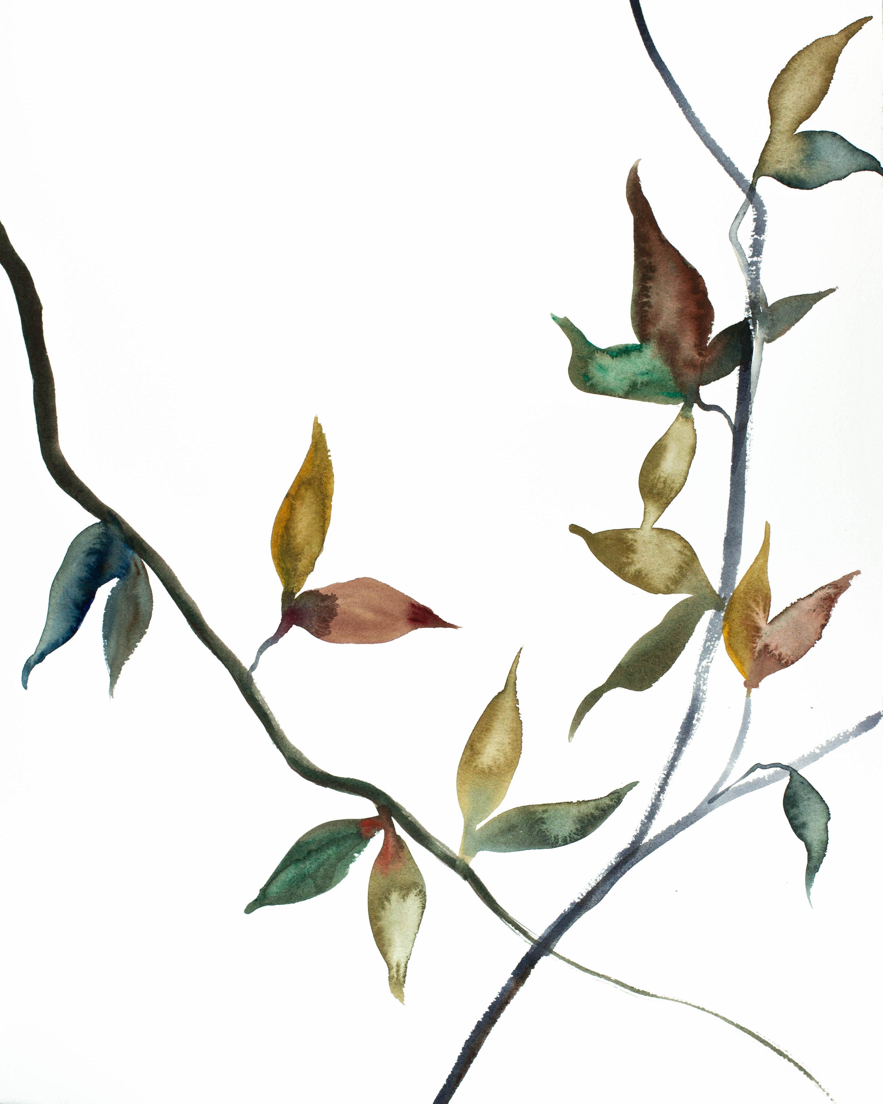 Elizabeth Becker, November Branches No. 14 Elizabeth Becker, November Branches No. 14