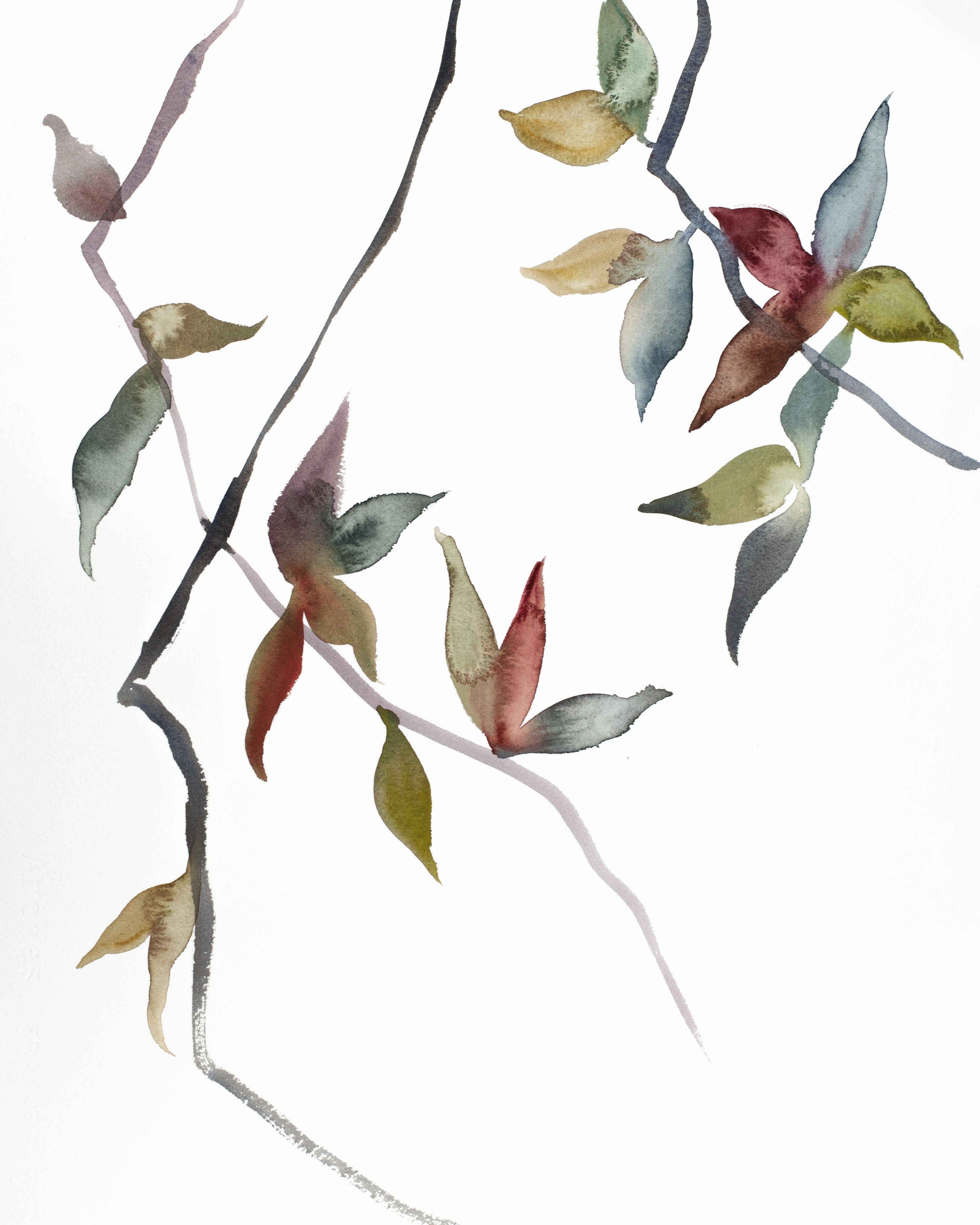 Elizabeth Becker, November Branches No. 15 Elizabeth Becker, November Branches No. 15