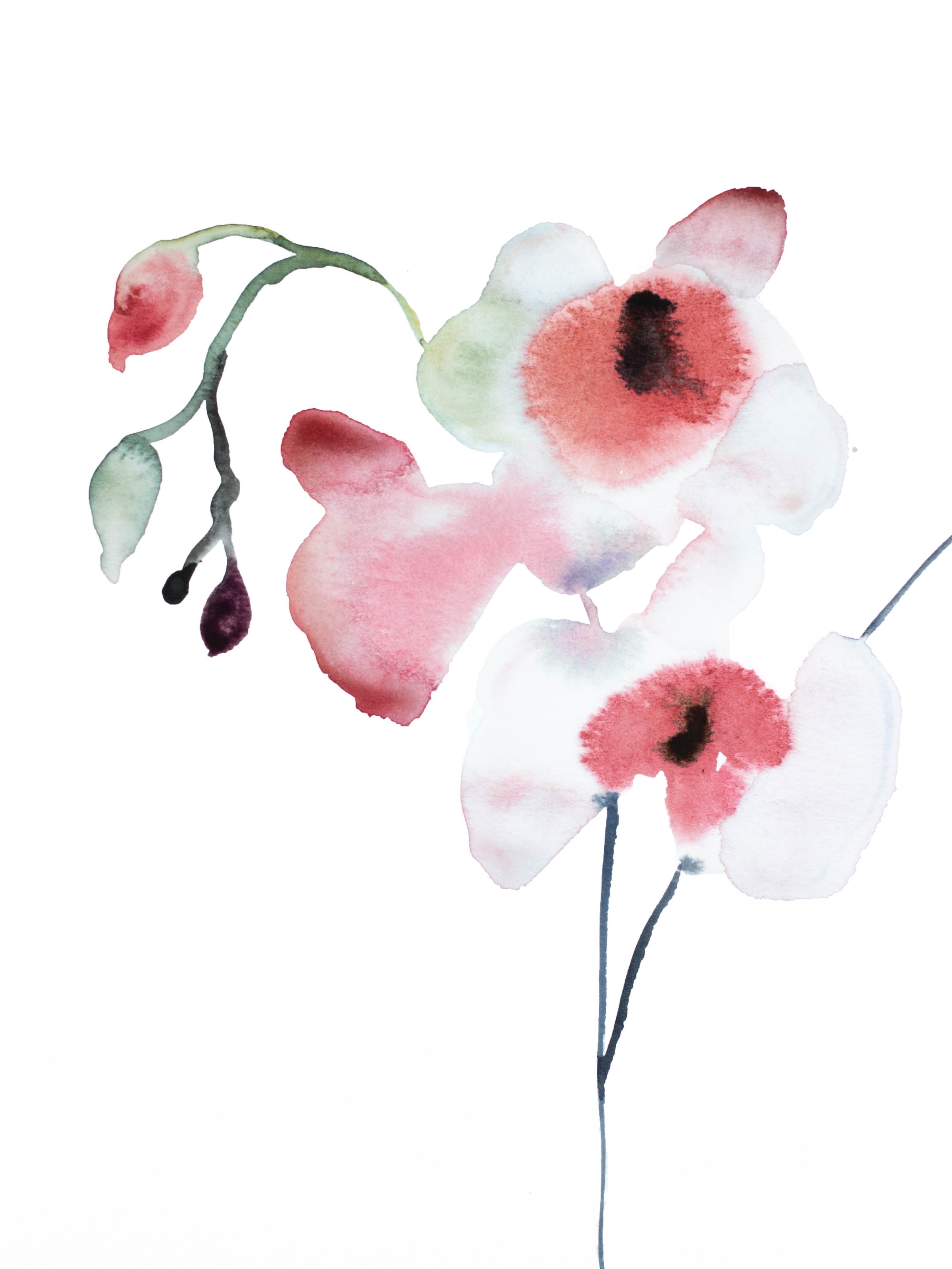 Elizabeth Becker, Orchid No. 2 Elizabeth Becker, Orchid No. 2