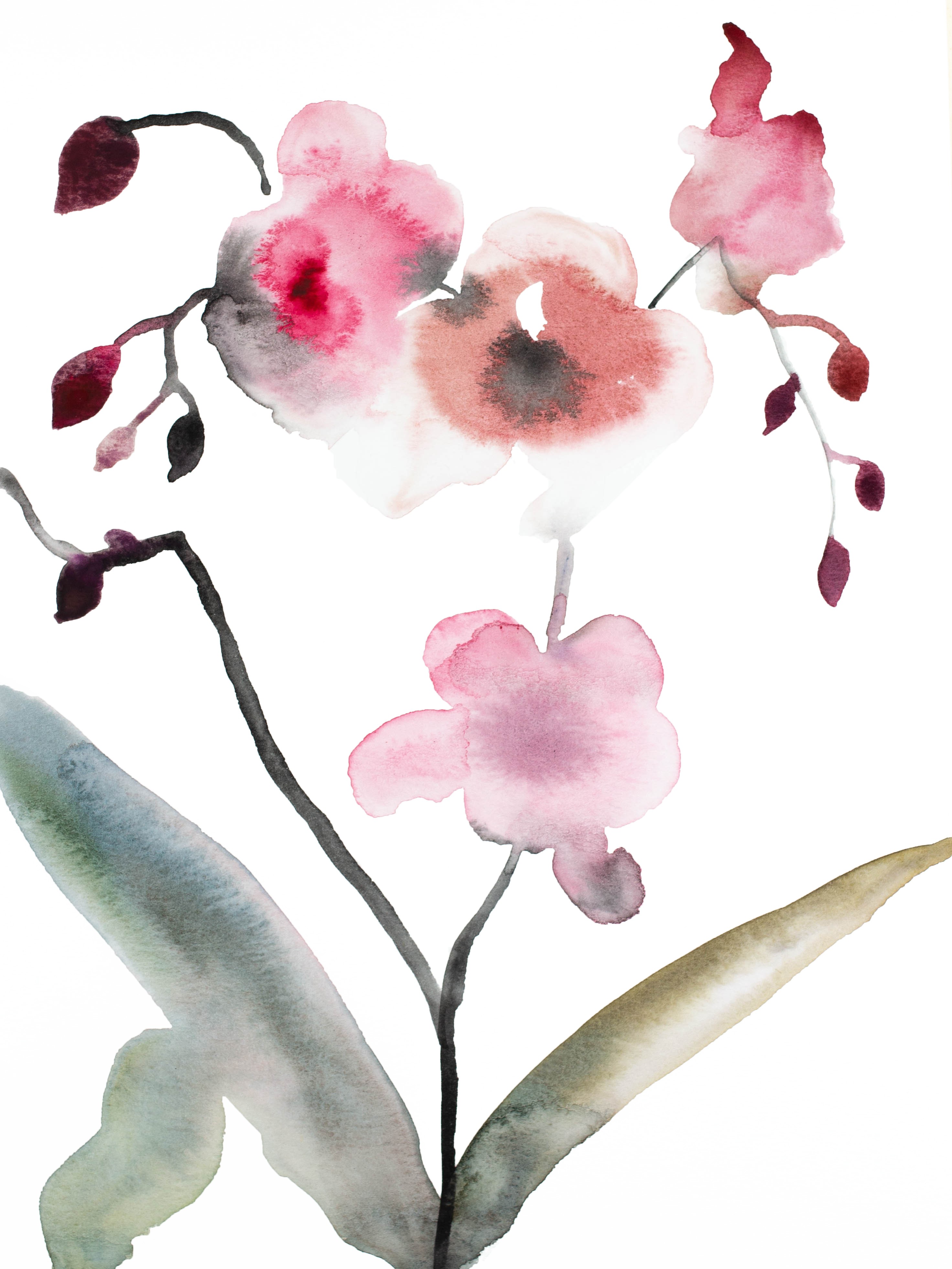 Elizabeth Becker, Orchid No. 3 Elizabeth Becker, Orchid No. 3