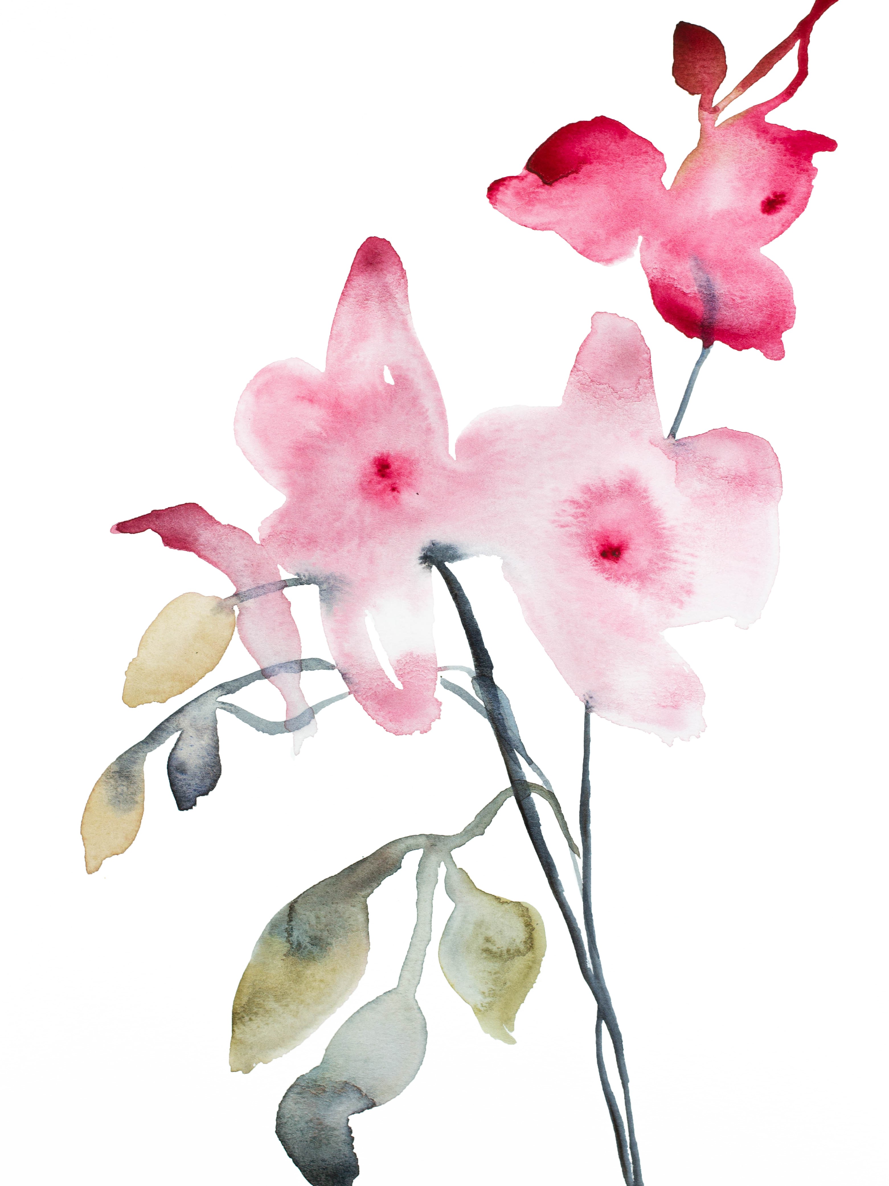 Elizabeth Becker, Orchid No. 4 Elizabeth Becker, Orchid No. 4