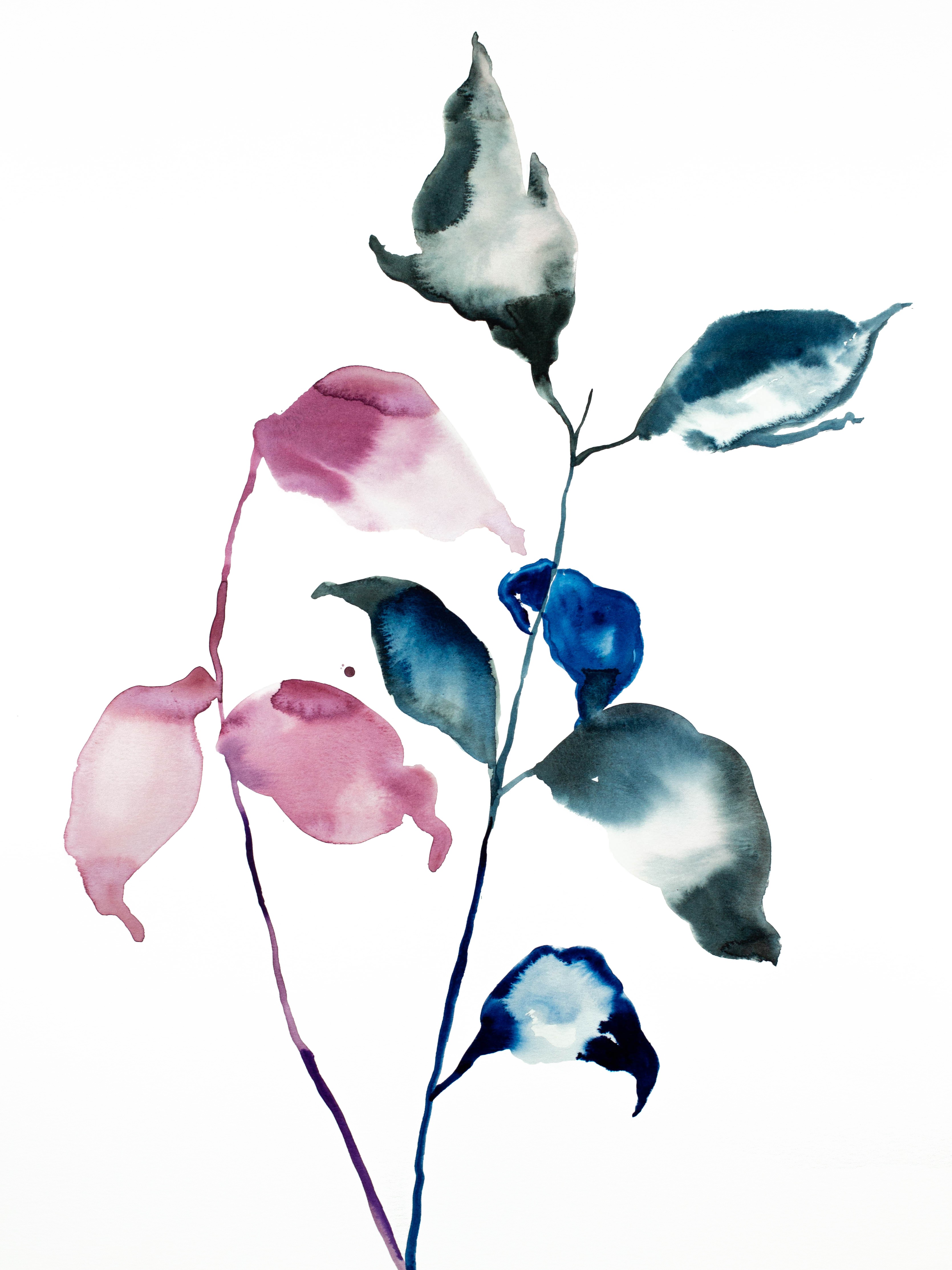 Elizabeth Becker, Plant Study No. 54 Elizabeth Becker, Plant Study No. 54