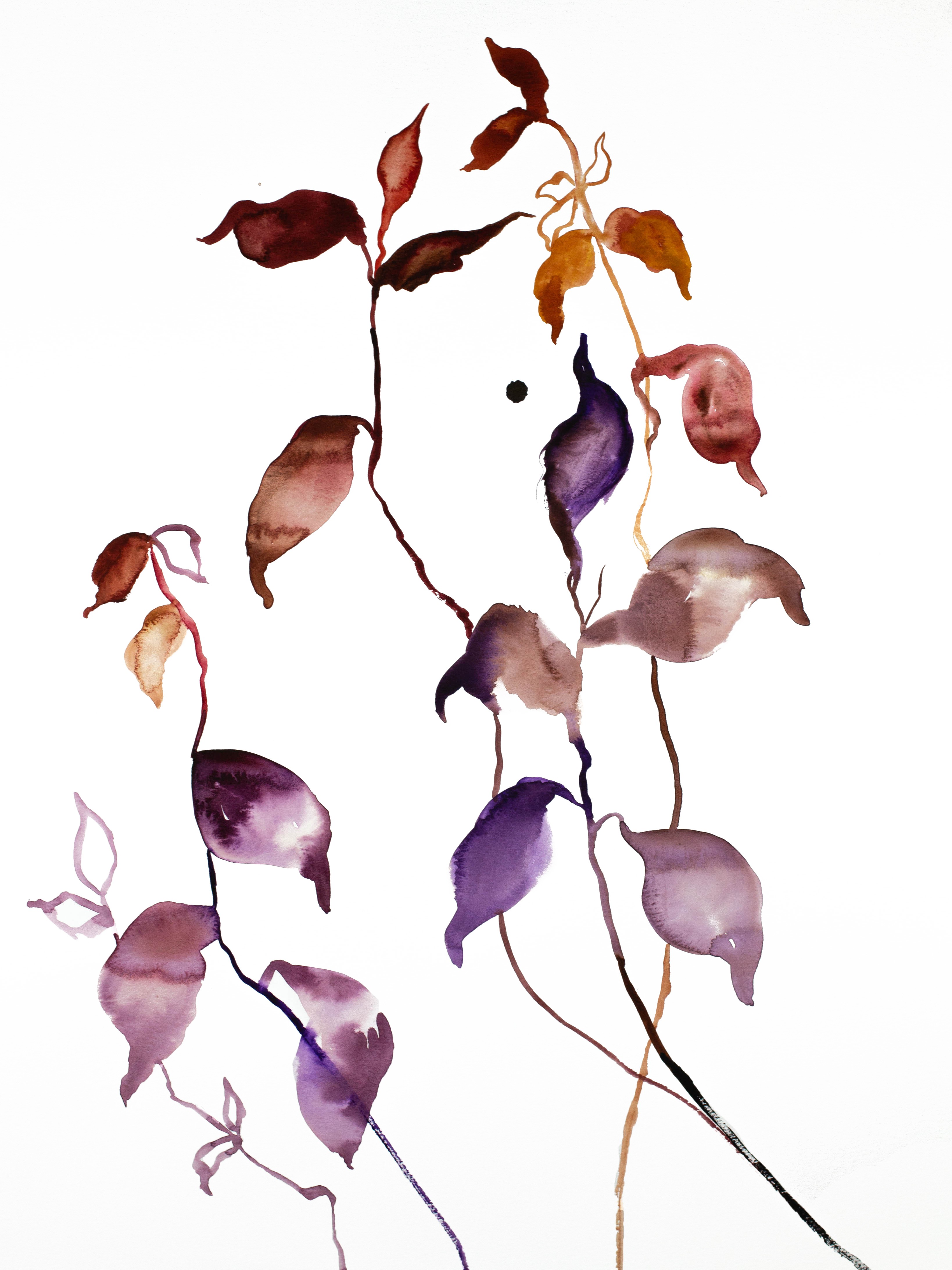 Elizabeth Becker, Plant Study No. 55 Elizabeth Becker, Plant Study No. 55