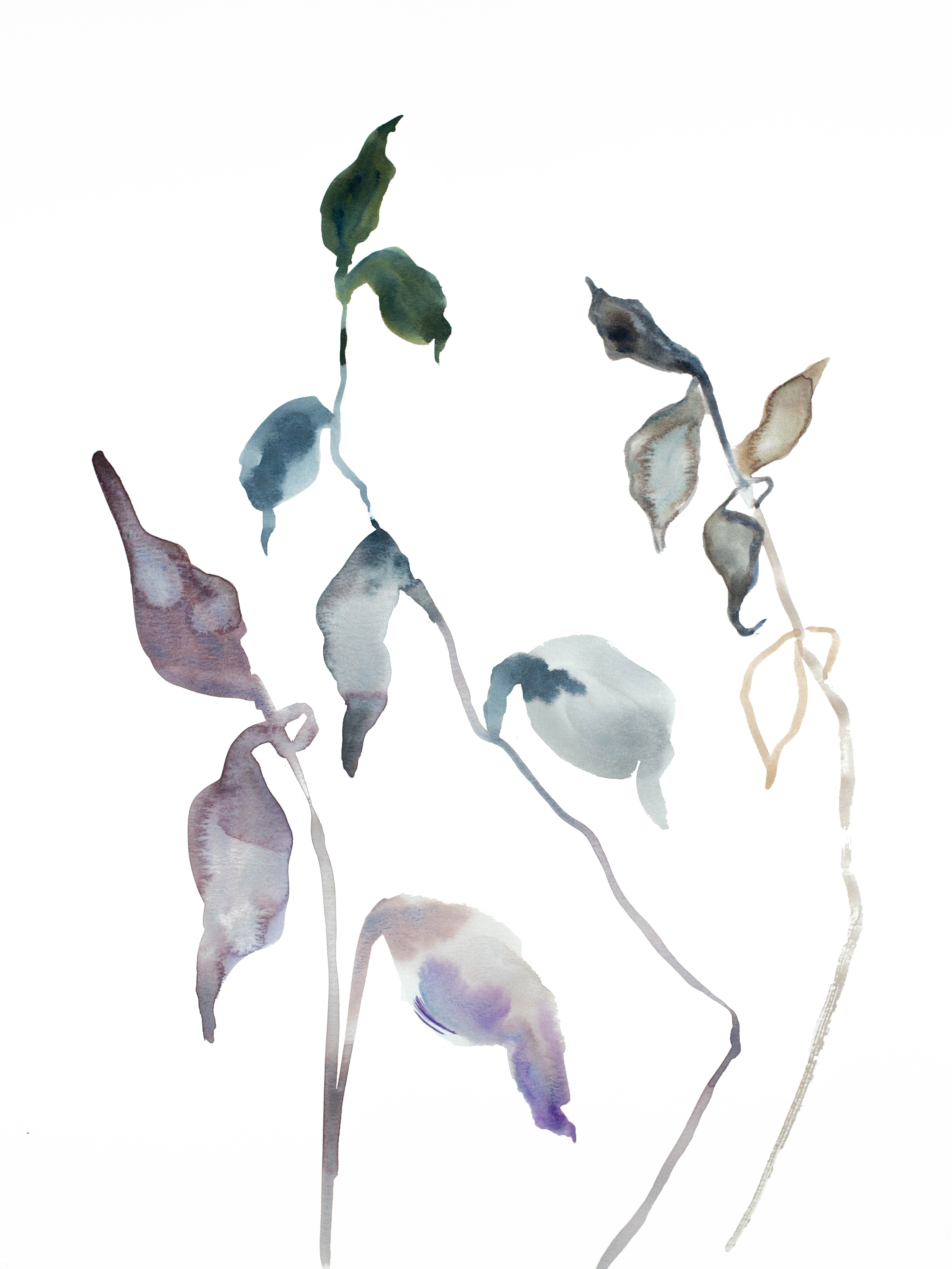 Elizabeth Becker, Plant Study No. 56 Elizabeth Becker, Plant Study No. 56