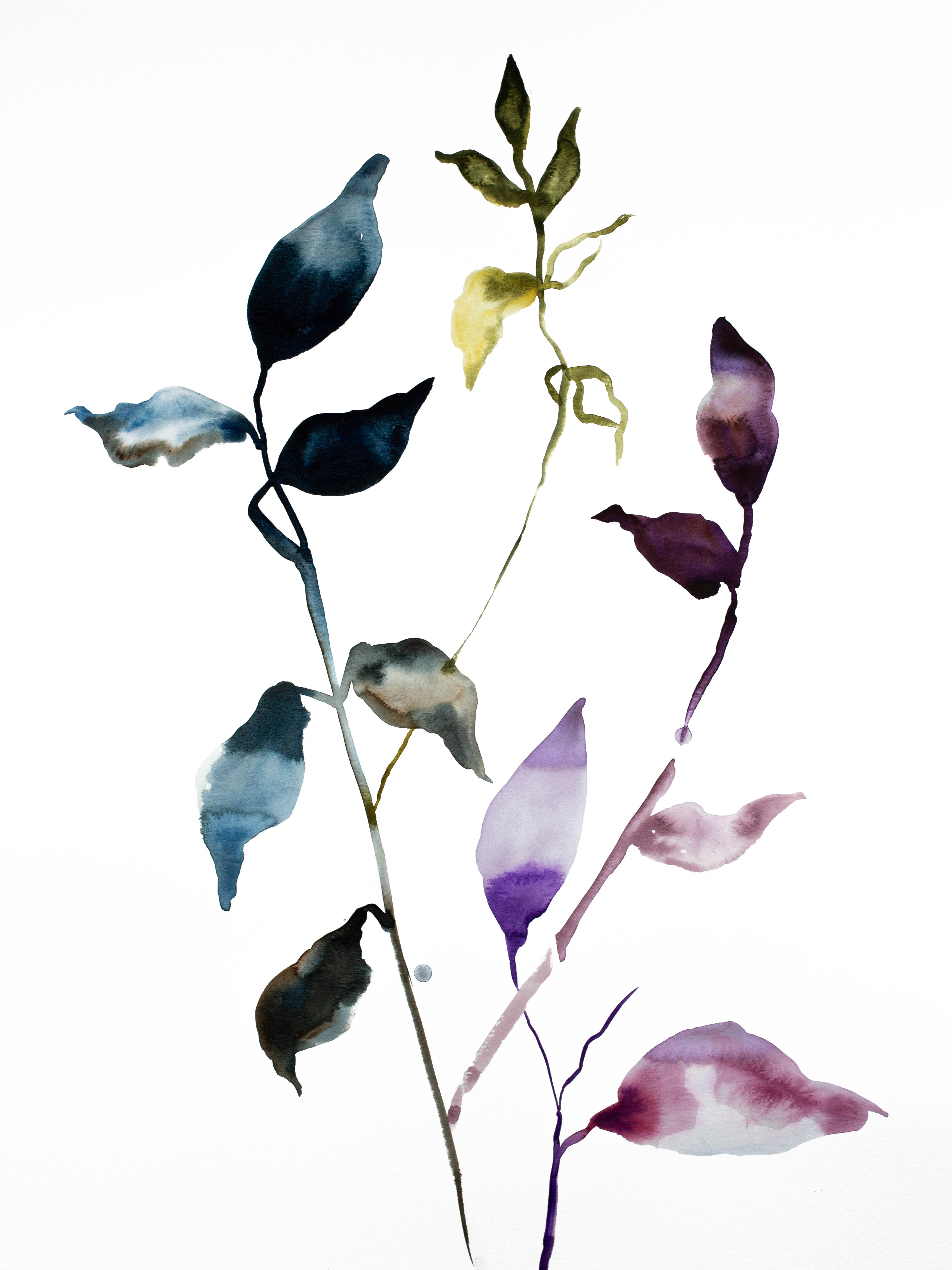 Elizabeth Becker, Plant Study No. 58 Elizabeth Becker, Plant Study No. 58